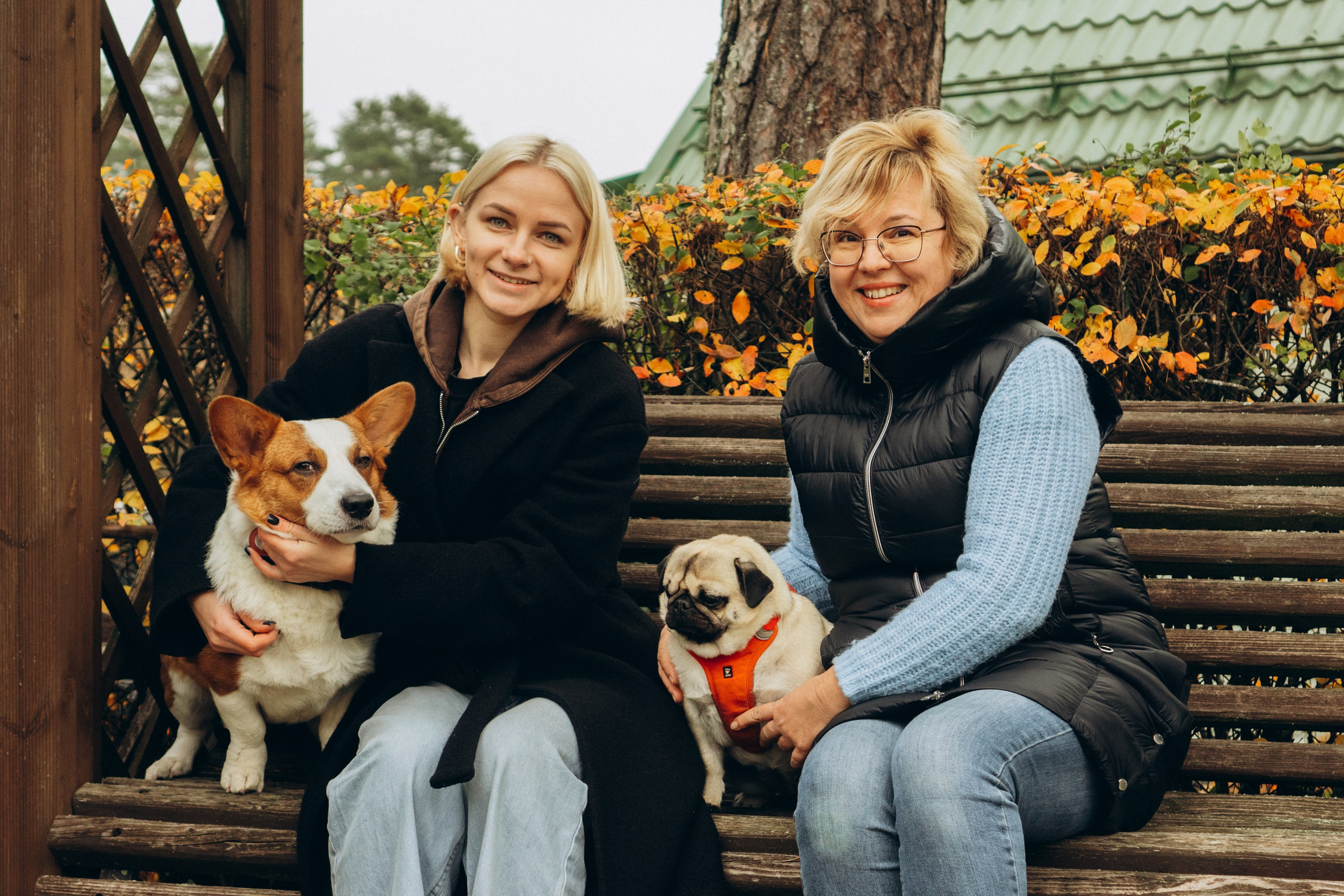 Jelena and her Sandy, Pug and Katja and her Safiir, Cardigan Welsh Corgi. Kat Laisaar — Pet photographer in Tallinn