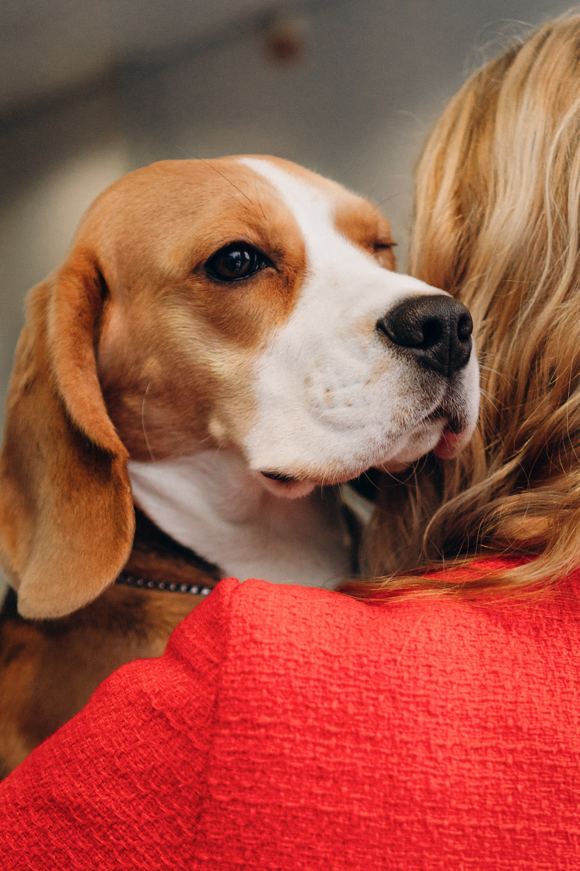 Luure & Cascada. Kat Laisaar — Pet photographer in Tallinn