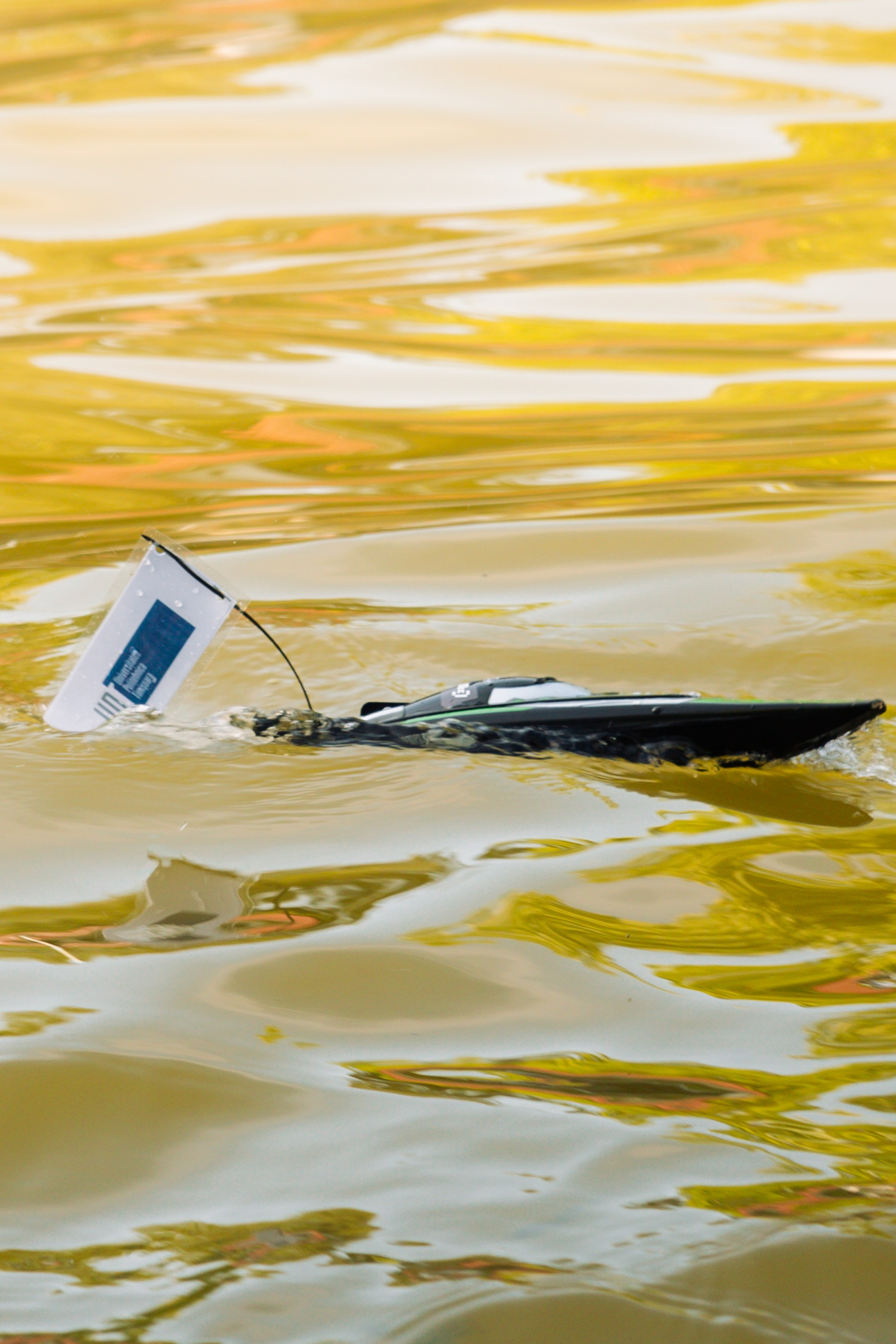 06.04 Bega Boat Race. Cozac Cristian Photographer