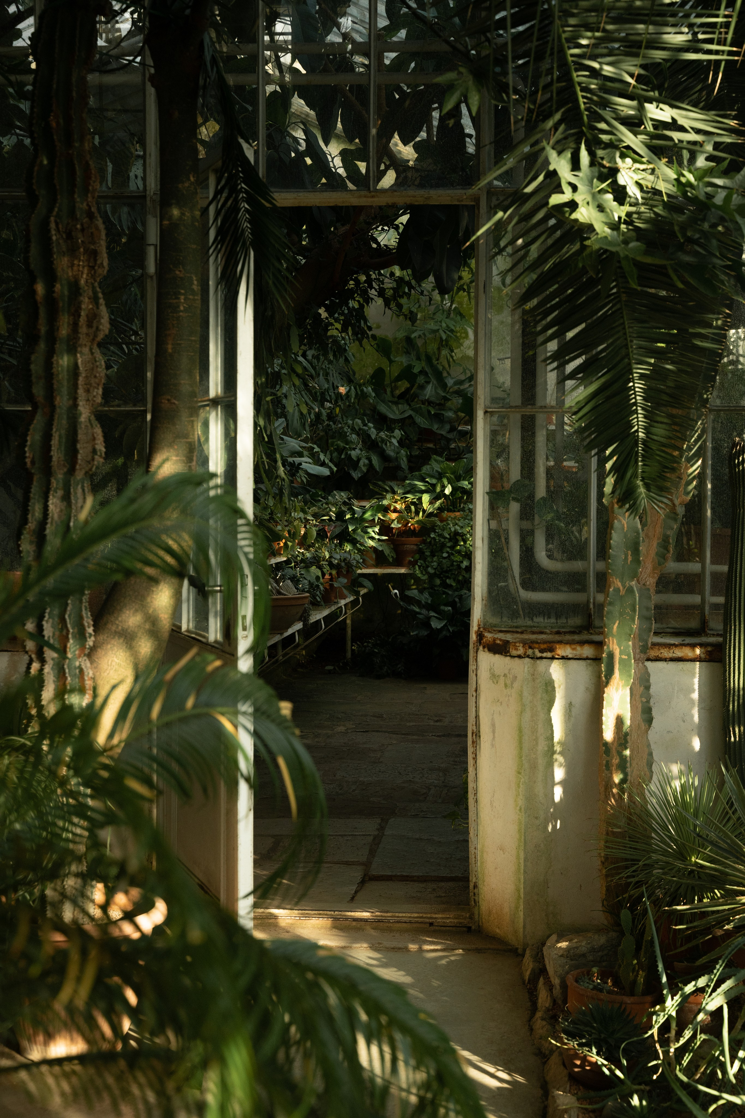 Portreti spoštovanja. Фотограф и видеограф Мария Бортякова из Словении: событийная, портретная и видеосъемка по всей Словении