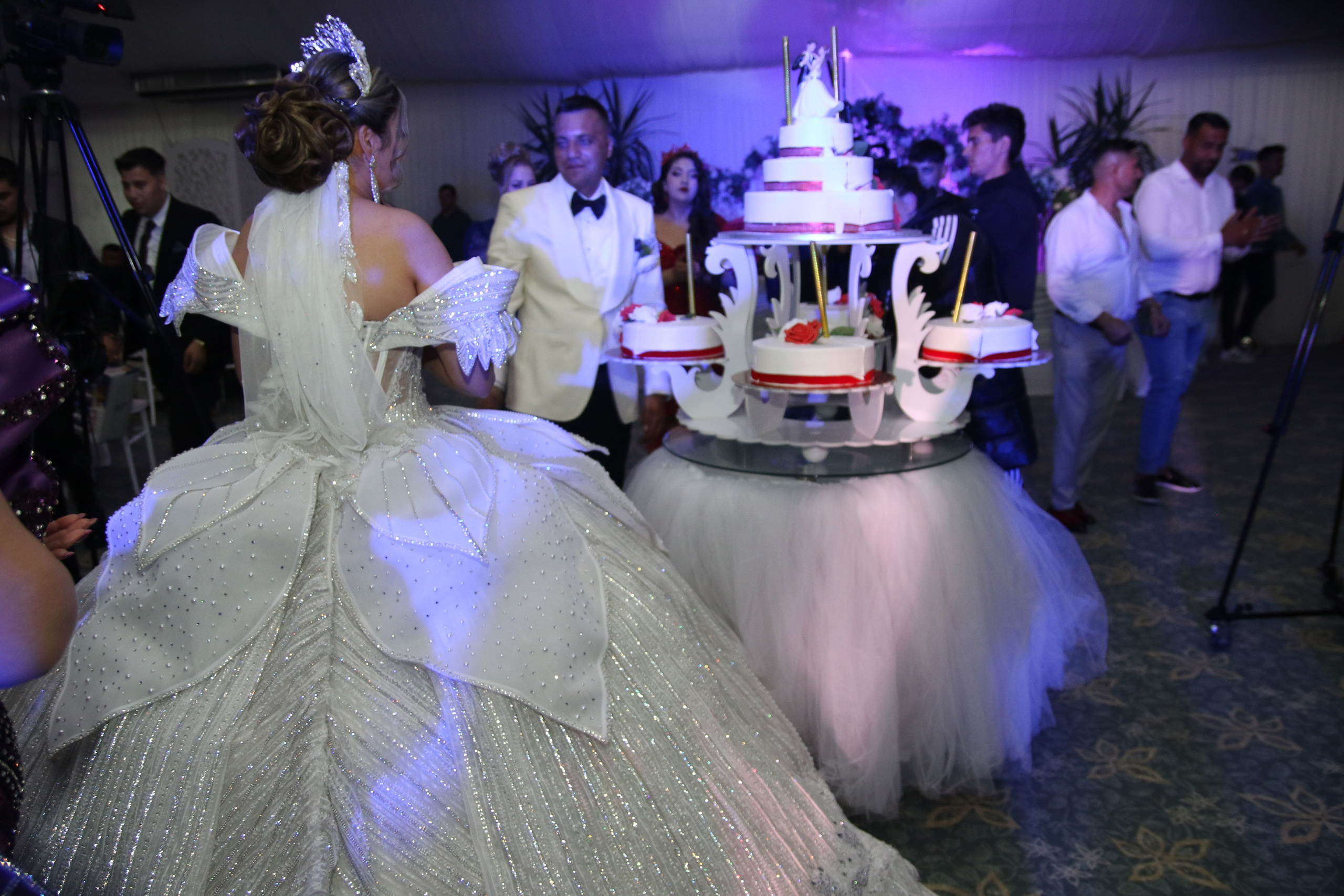 BORIS & ALINA. PETRU BYZO - family and children photographer in ROMANIA