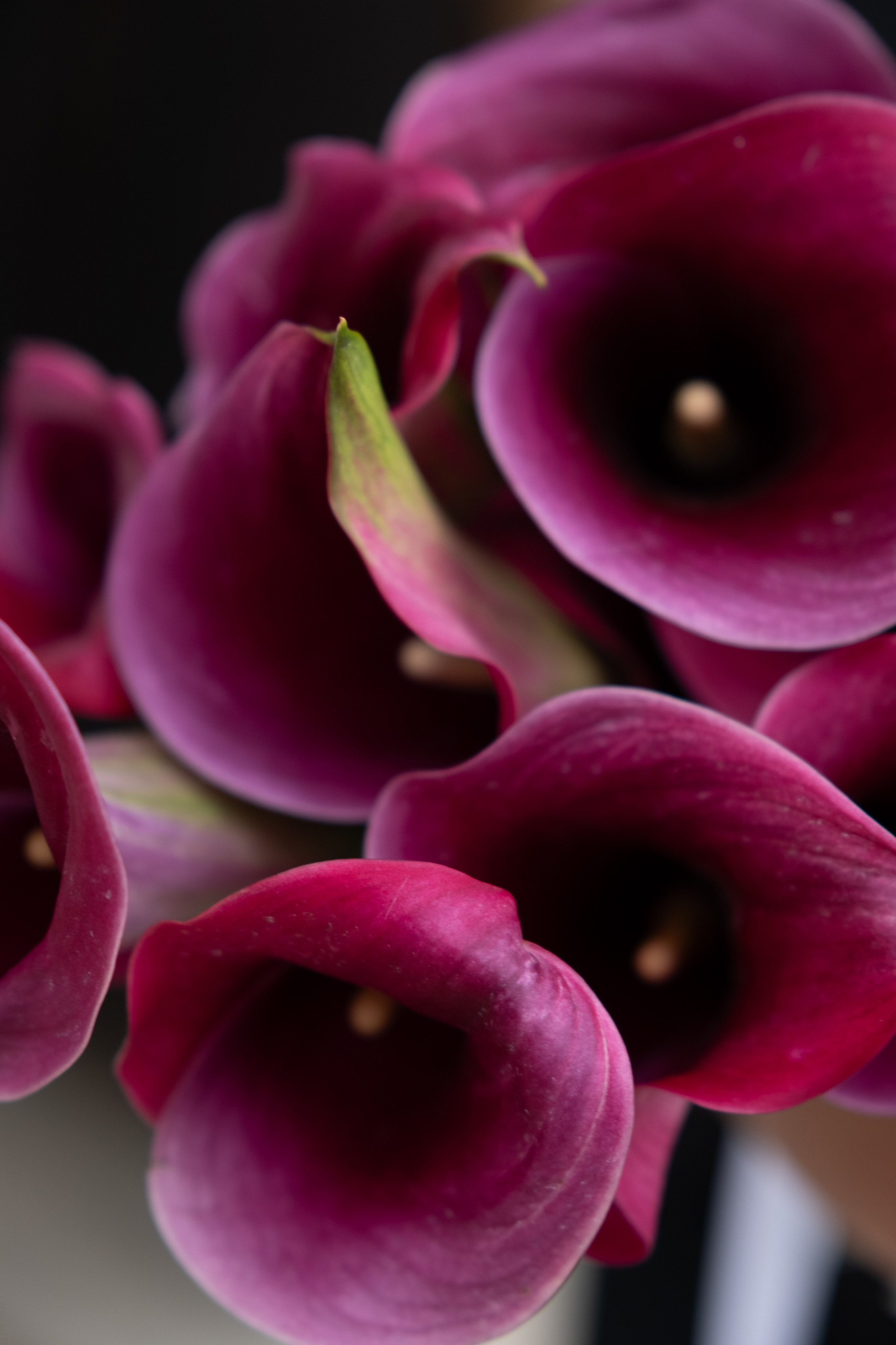 Vows in September. Wedding photography — EMU Photos