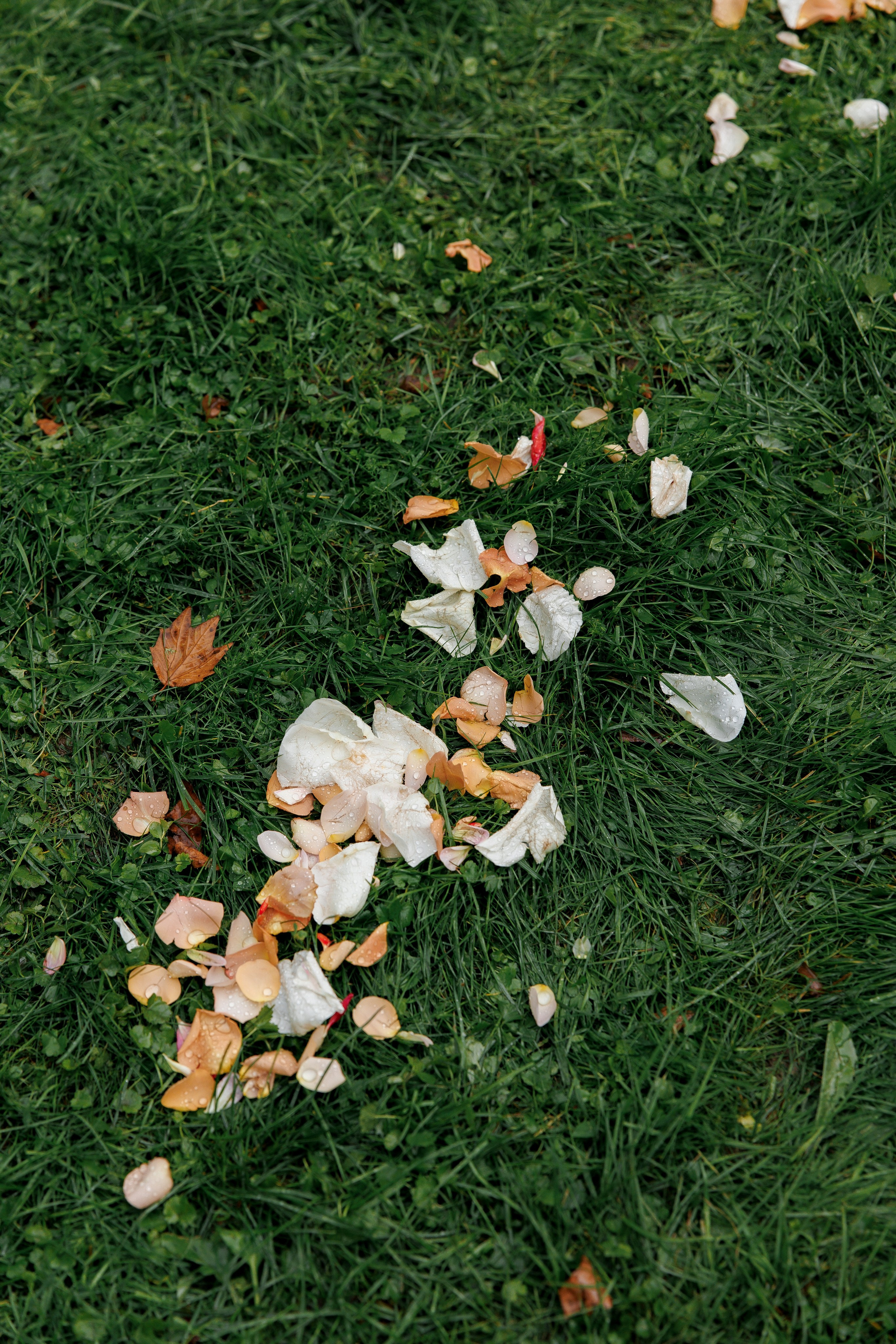 I&I. Oaza Lencze. 29.09.2025. Fotograf ślubny i rodzinny w Krakowie Yana Klymova