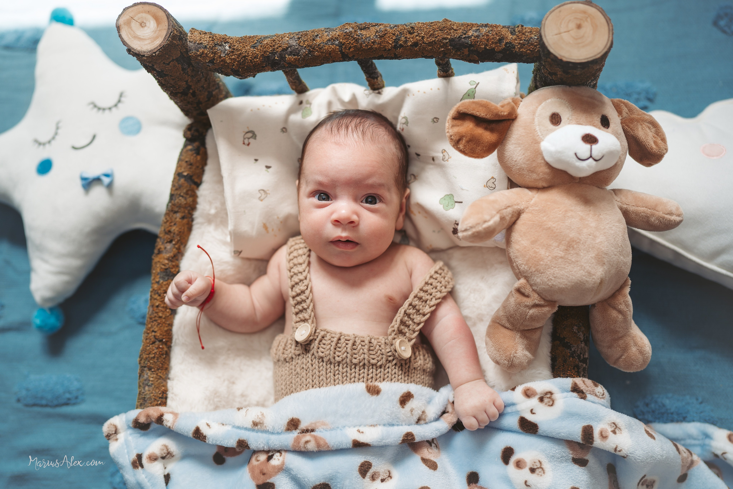 Marius Alex fotograf de eveniment si portret din Suceava