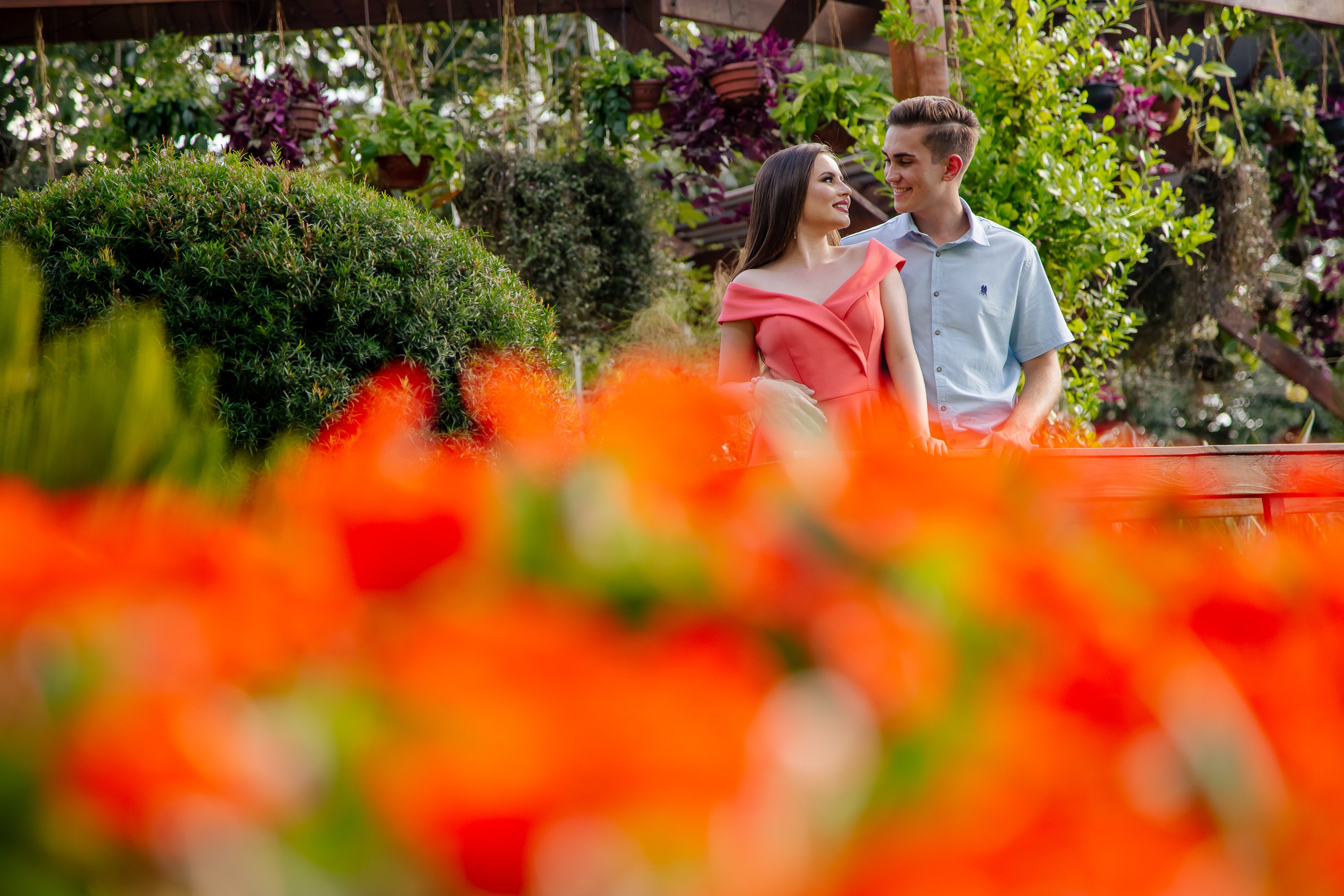 Ensaio Holambra. Tela cheia