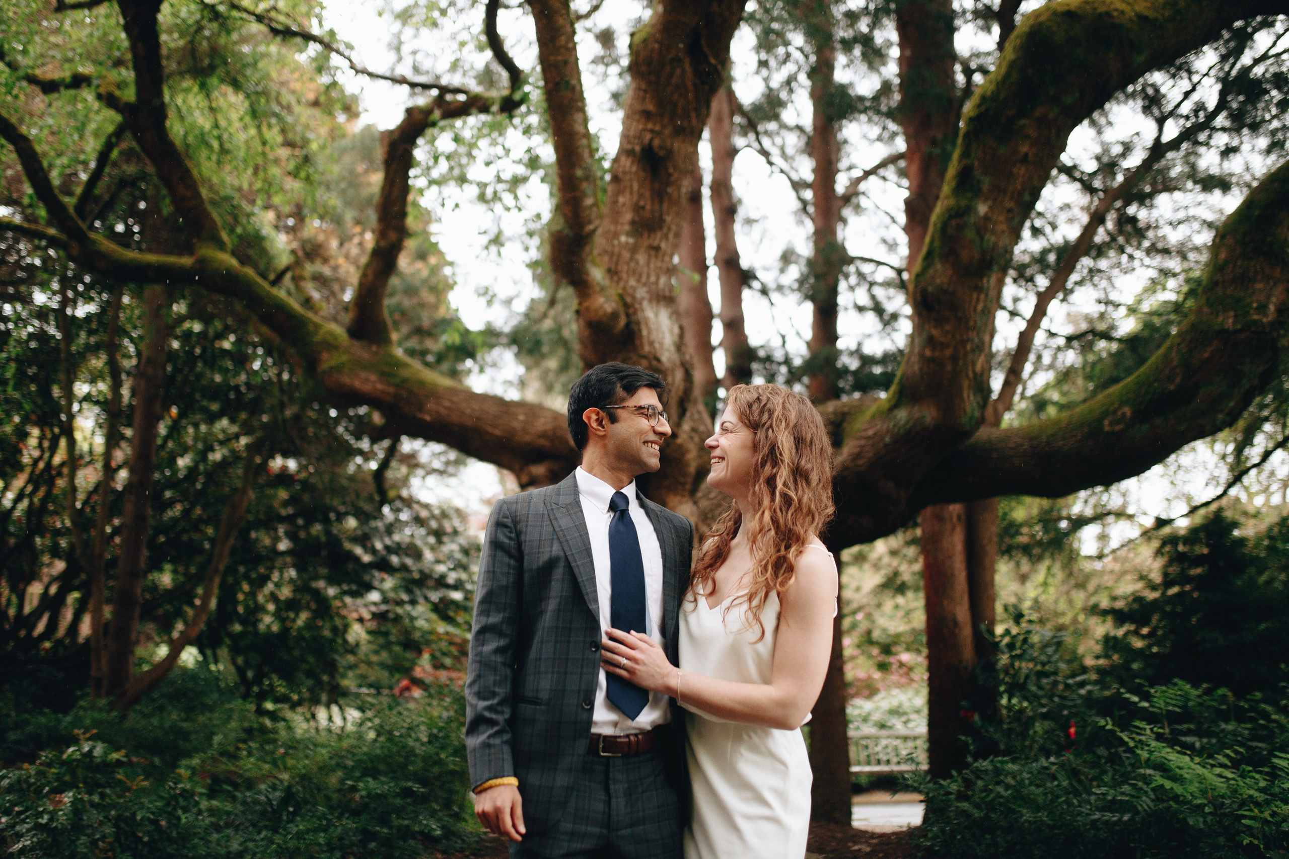 Bride and groom under tree, joyful wedding celebration