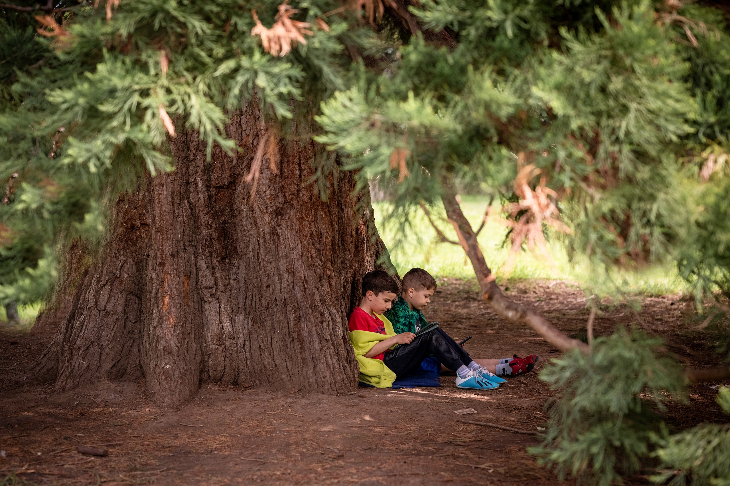 KINDER. Familien- und Hochzeitsfotograf Shestak Ivan