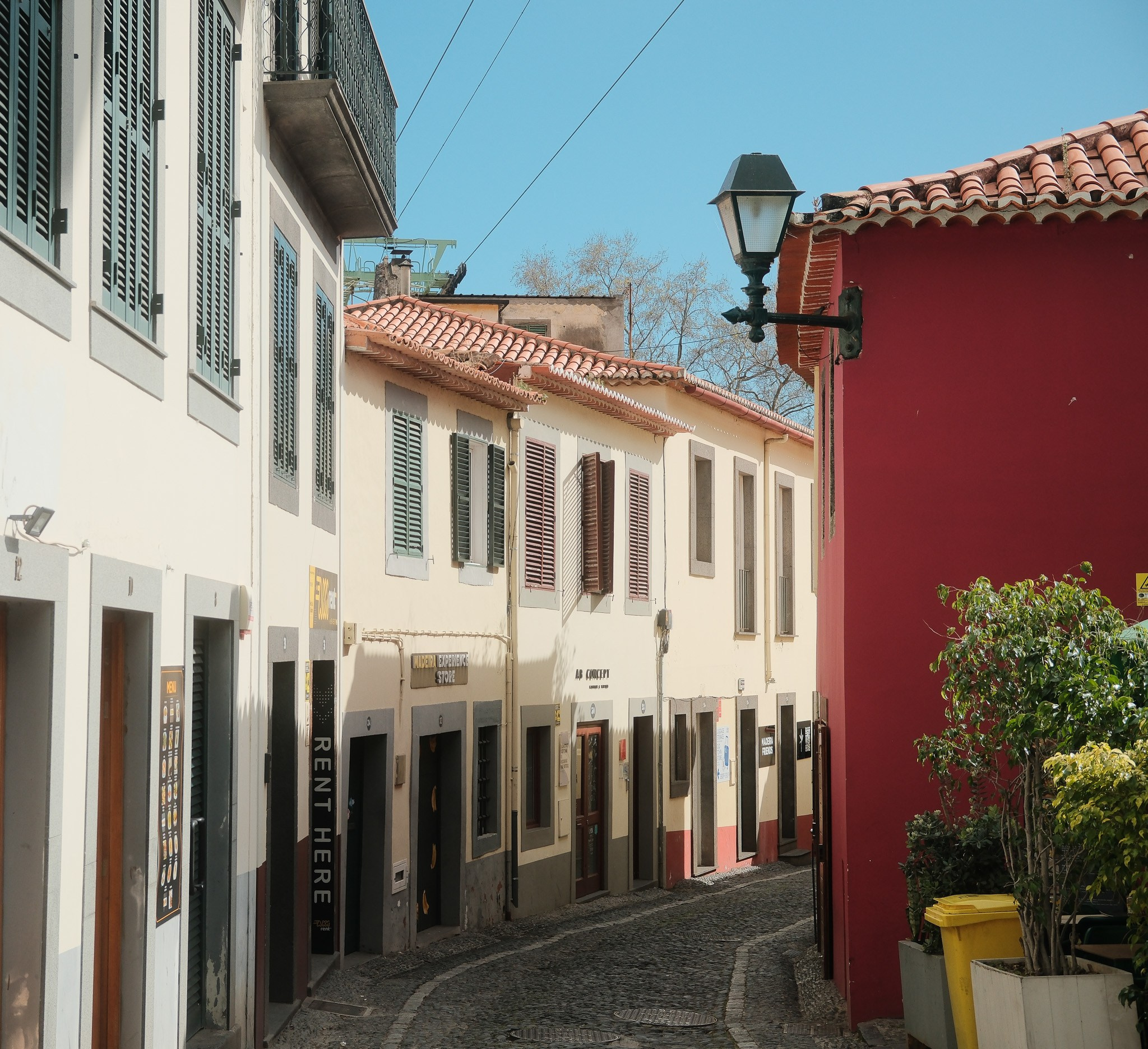 Madeira 2025. Cal Takes Photos