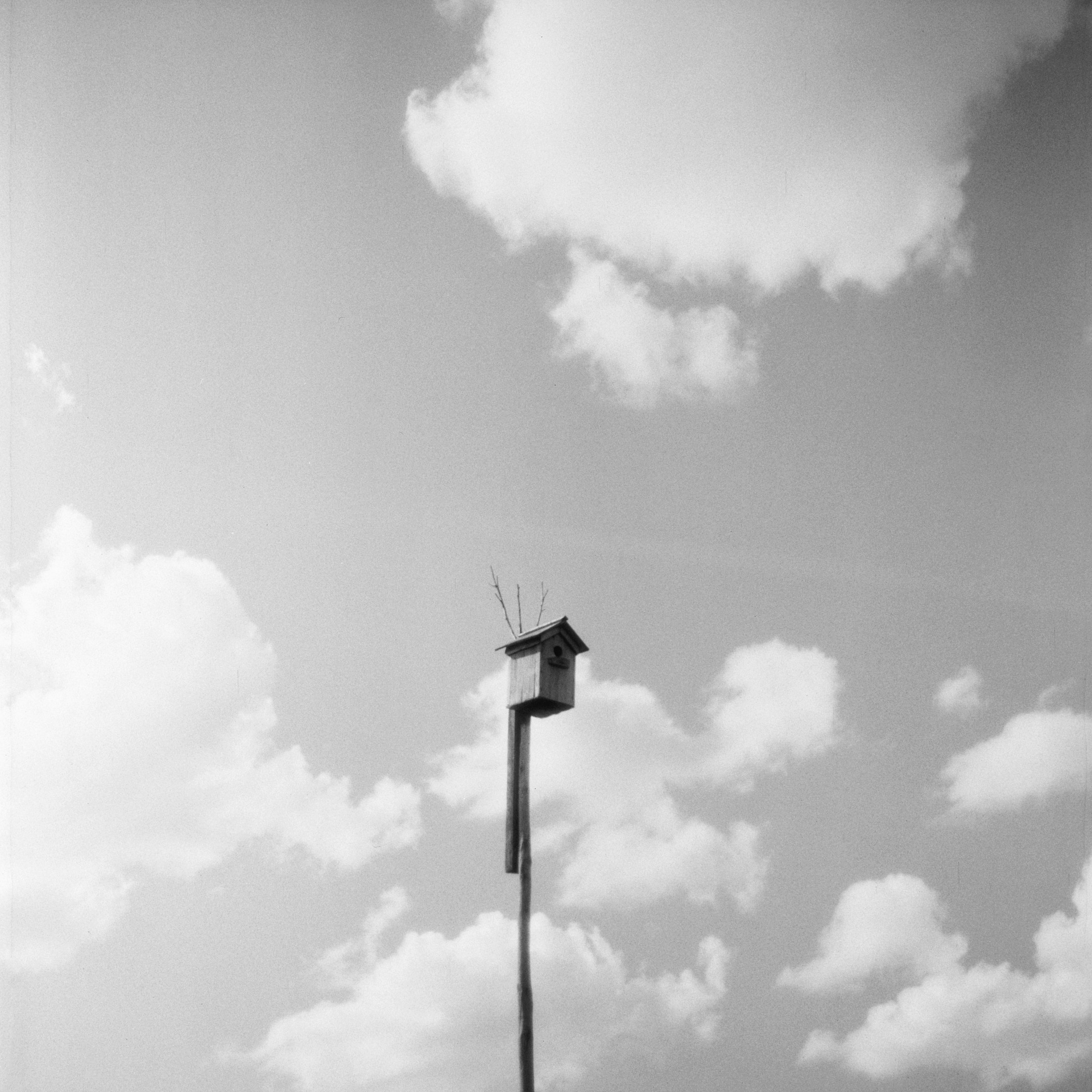 Grandmother. Ekaterina Fedorova