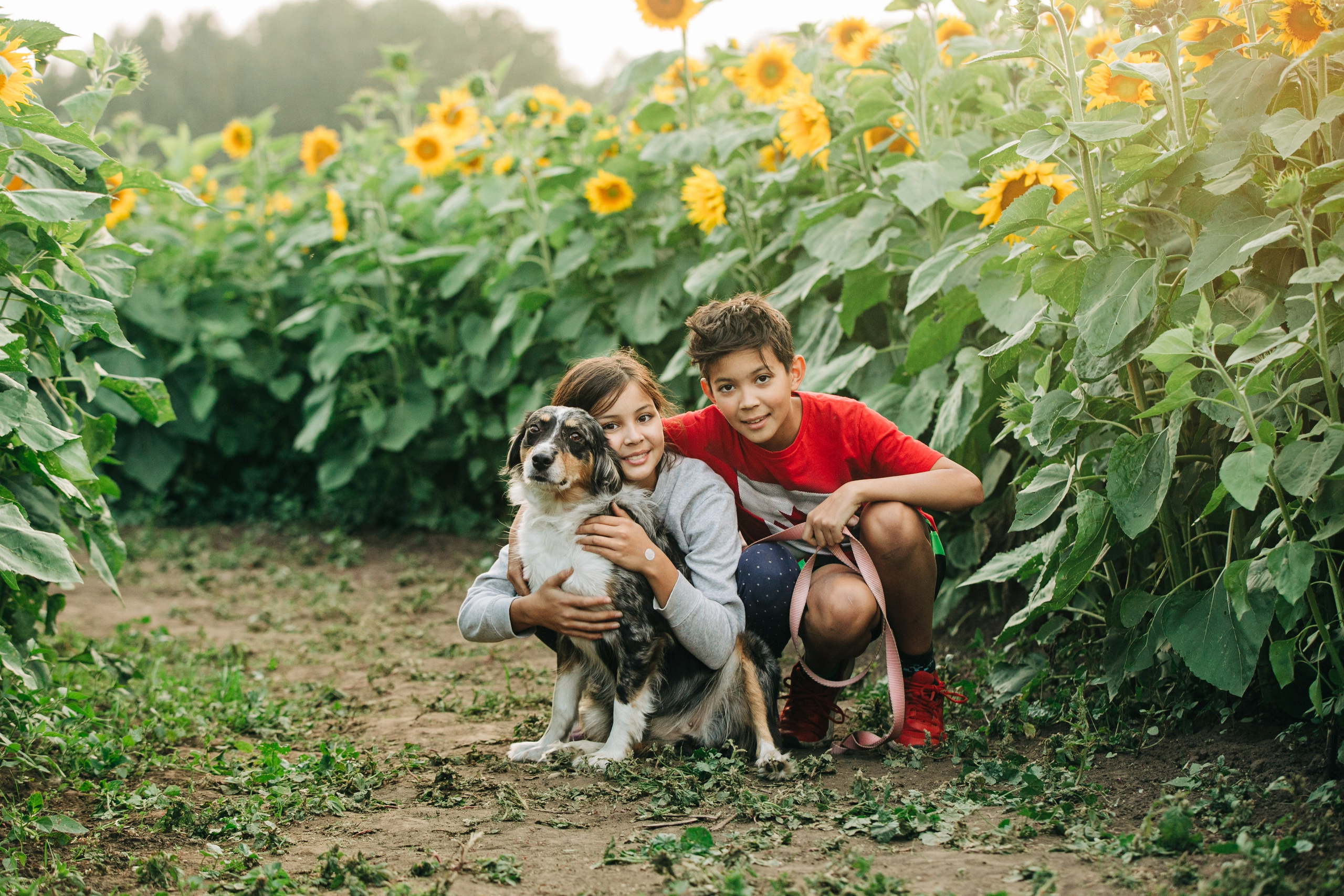 Bowden Sunmaze — Ana Pau & Johnathan. Ching Li Photography