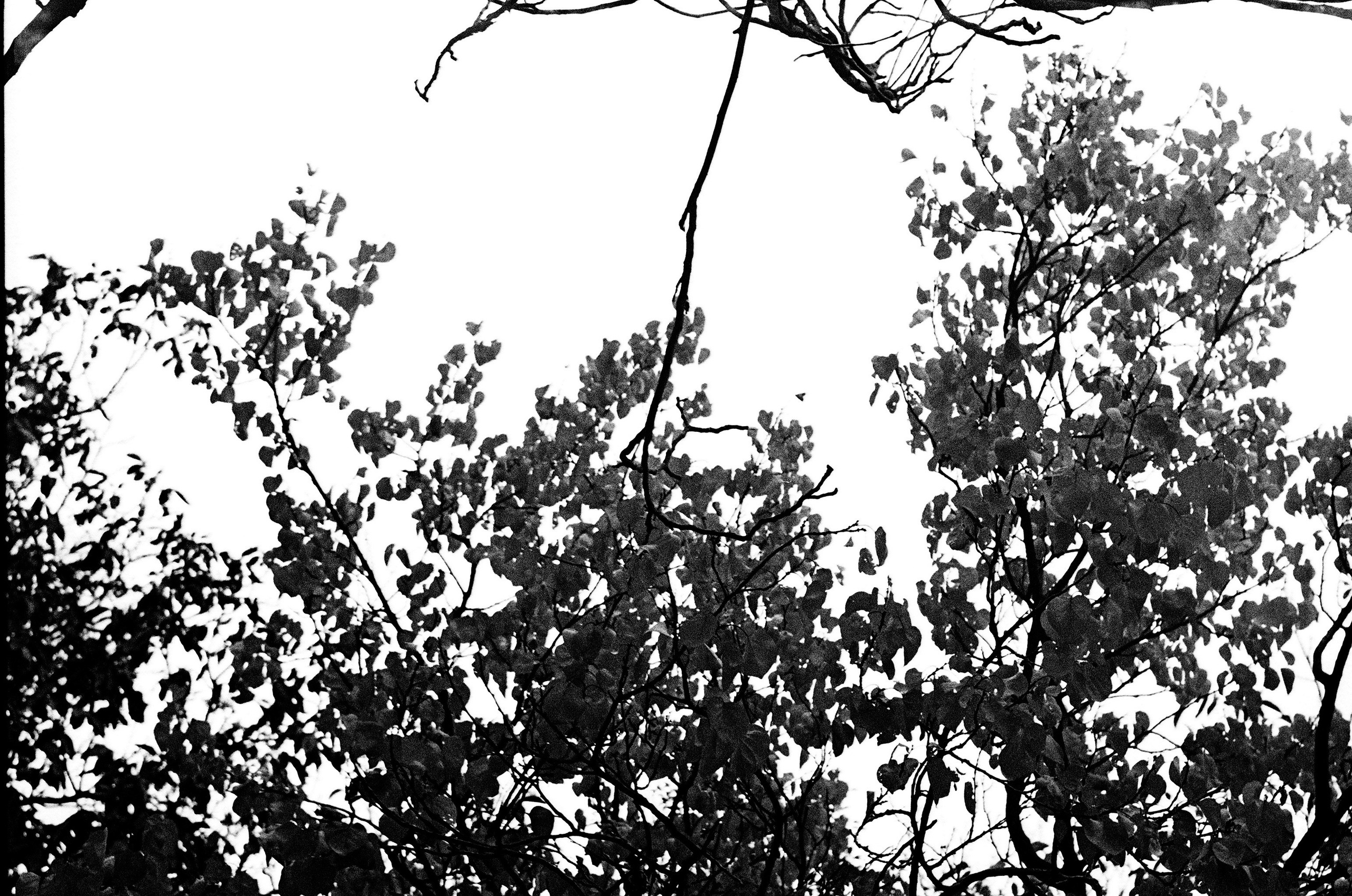 Personal Photography. Arman Milani, Brand-Focused Video Production & Content Creation, Based in Berlin