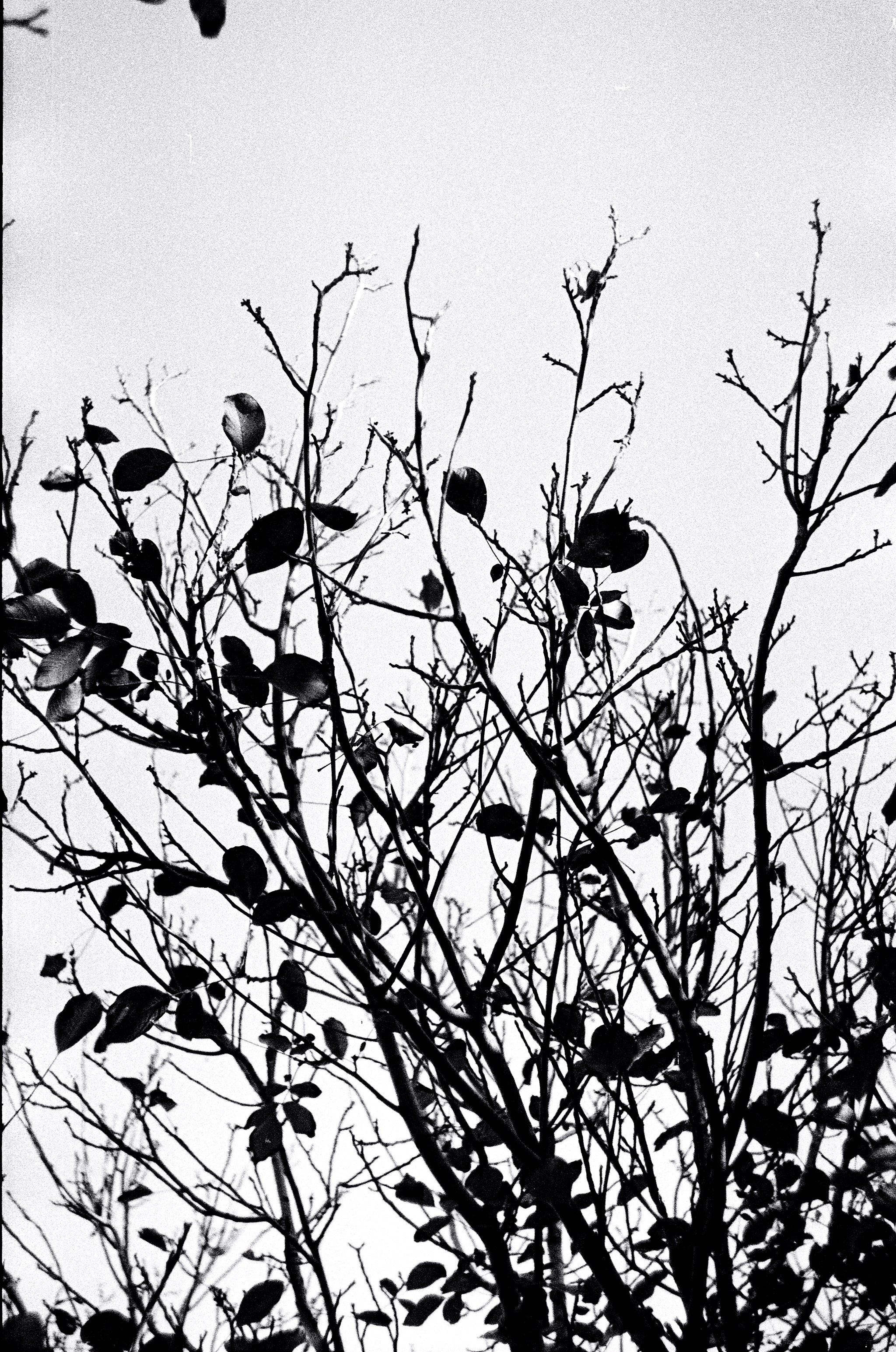 Personal Photography. Arman Milani, Brand-Focused Video Production & Content Creation, Based in Berlin