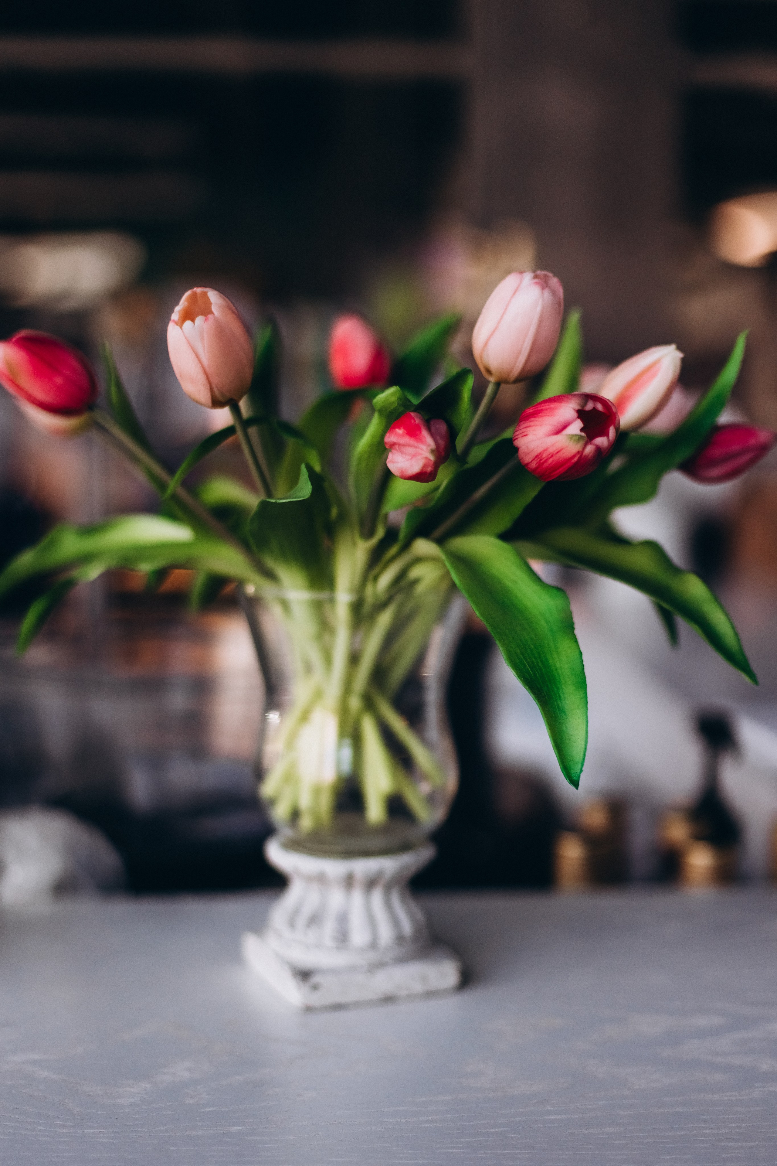 Evgen & Evgenia. Wedding and Family Photograph