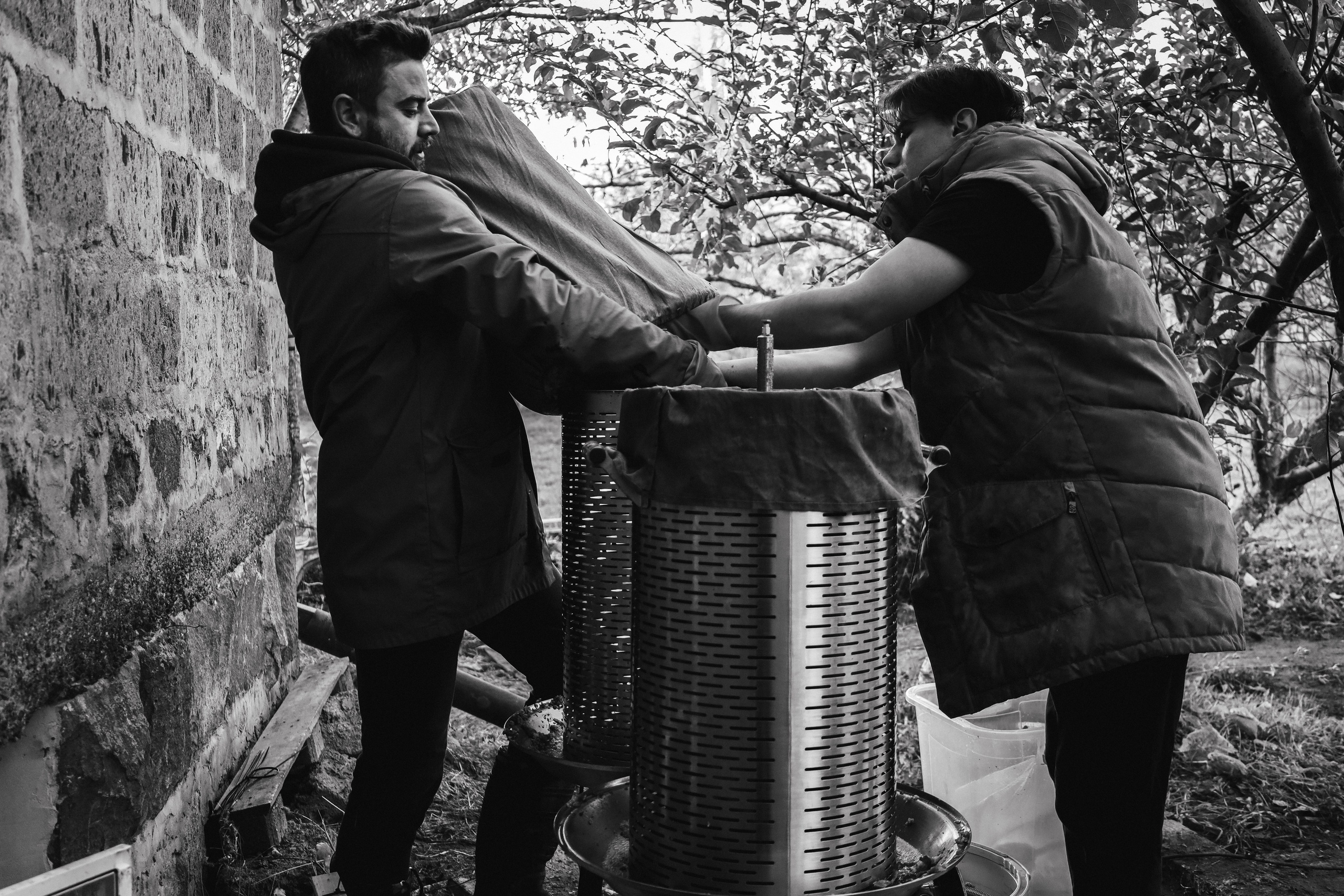 Factory reportage (hand-crafted cider). Asmikiam