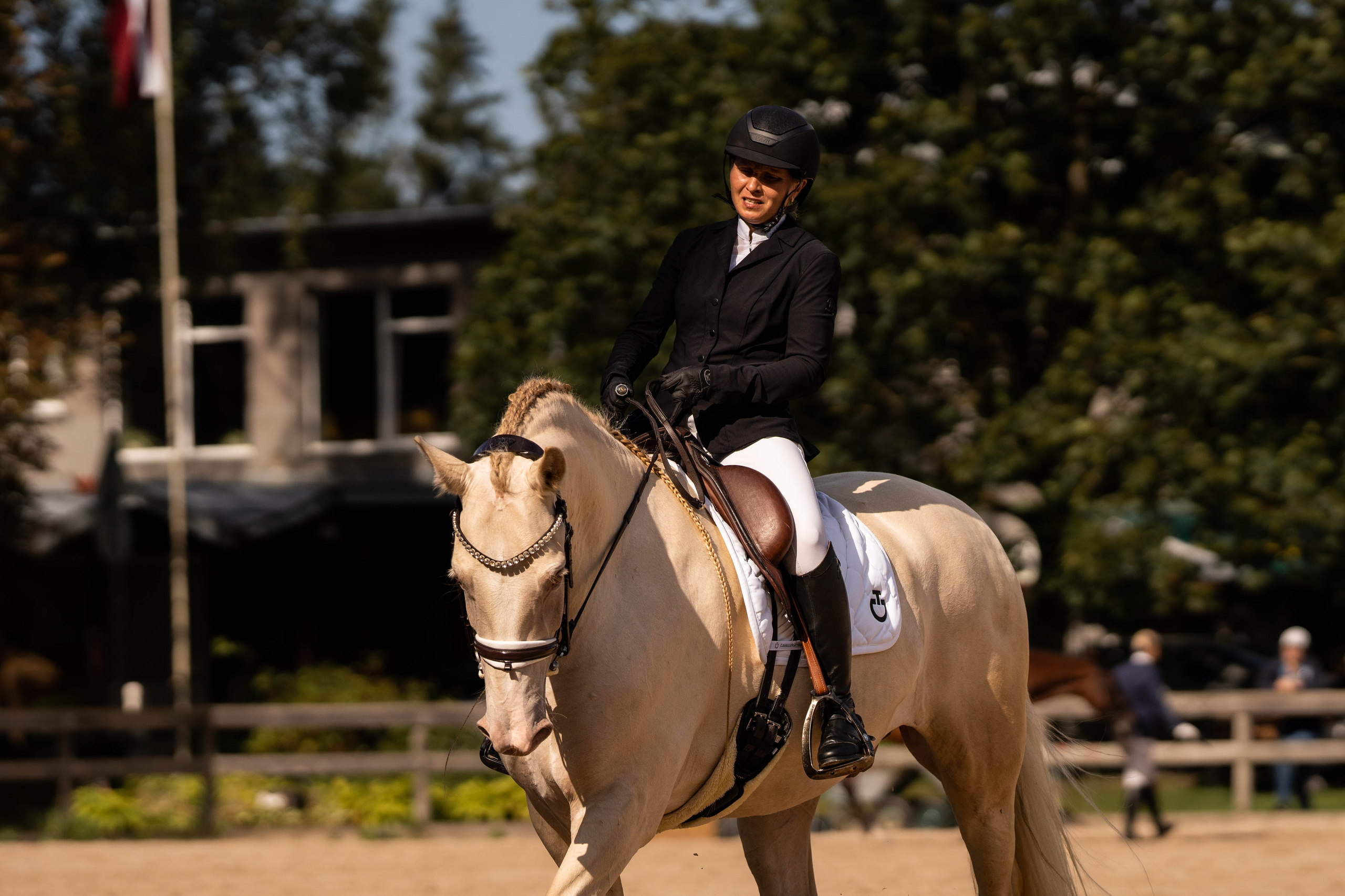 Dressage competitions. Sports and portrait photographer in Riga