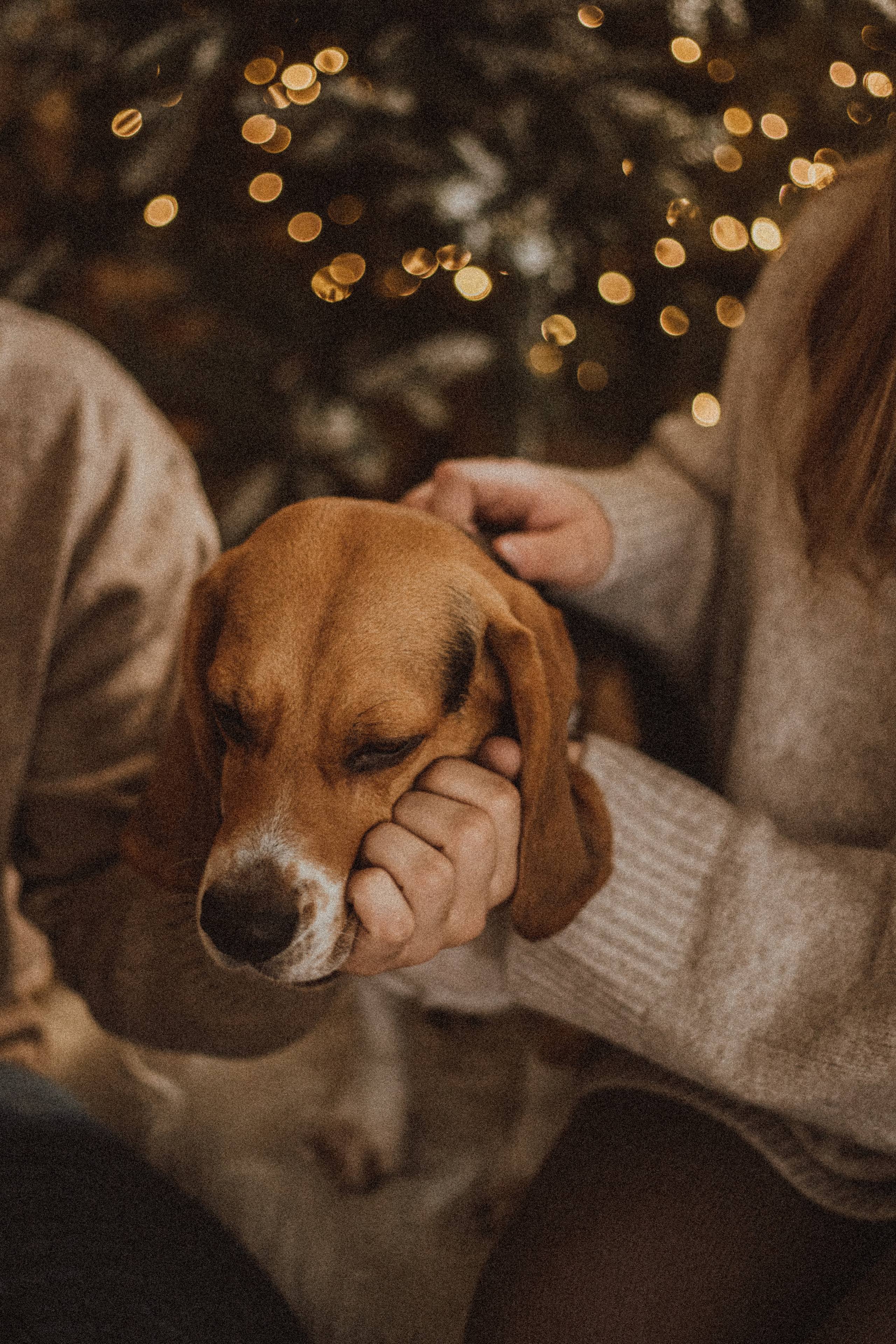 ALESIA DIMA. Fotograf Mykhalchuk Inna Kraków
