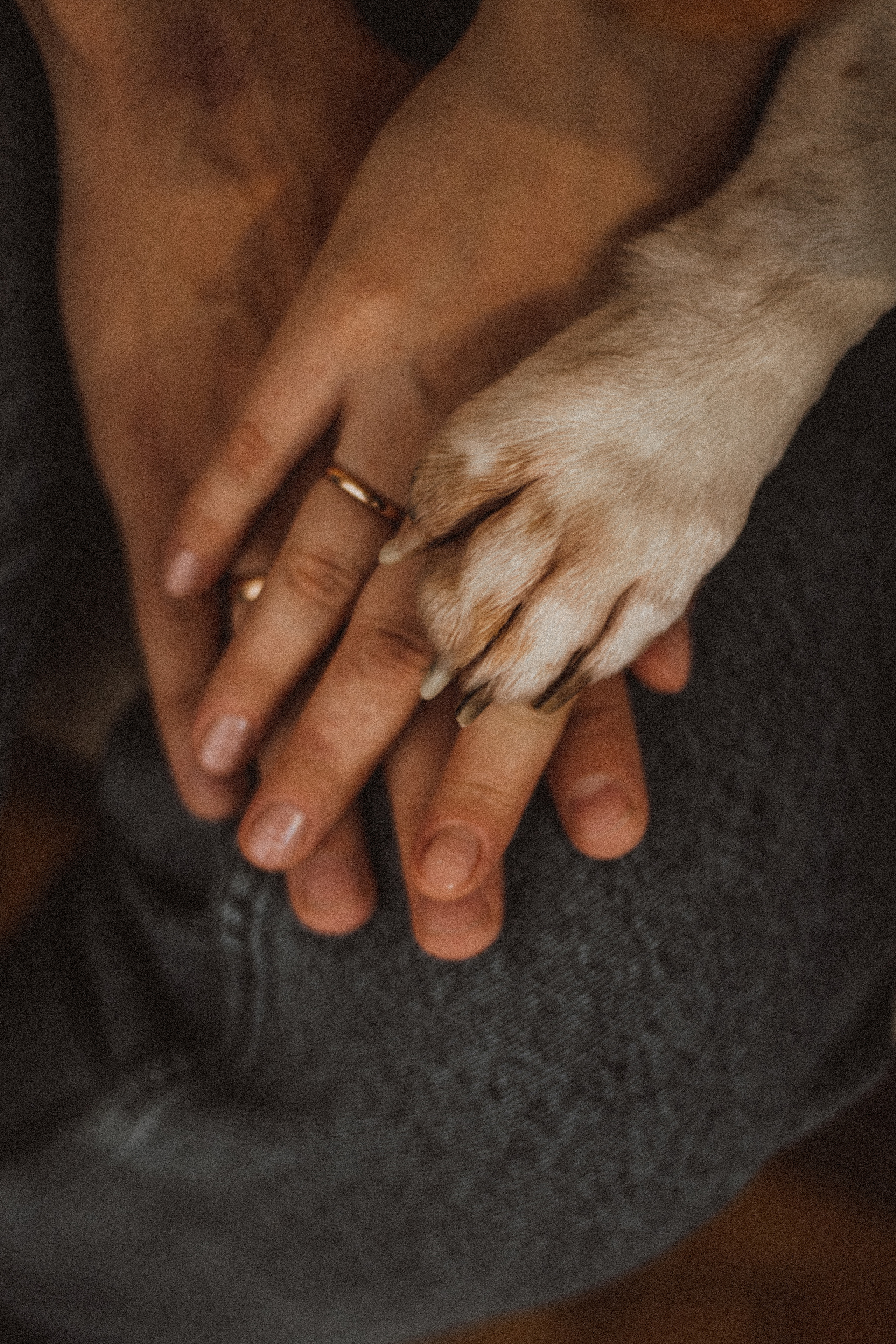 ALESIA DIMA. Fotograf Mykhalchuk Inna Kraków