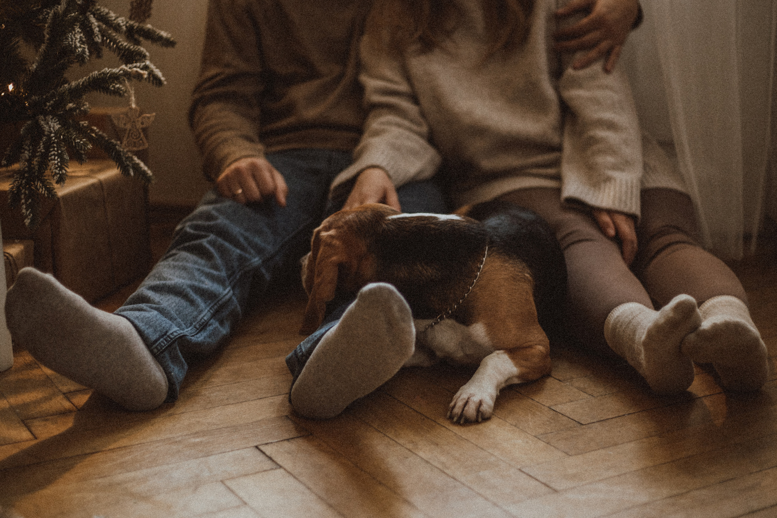 ALESIA DIMA. Fotograf Mykhalchuk Inna Kraków