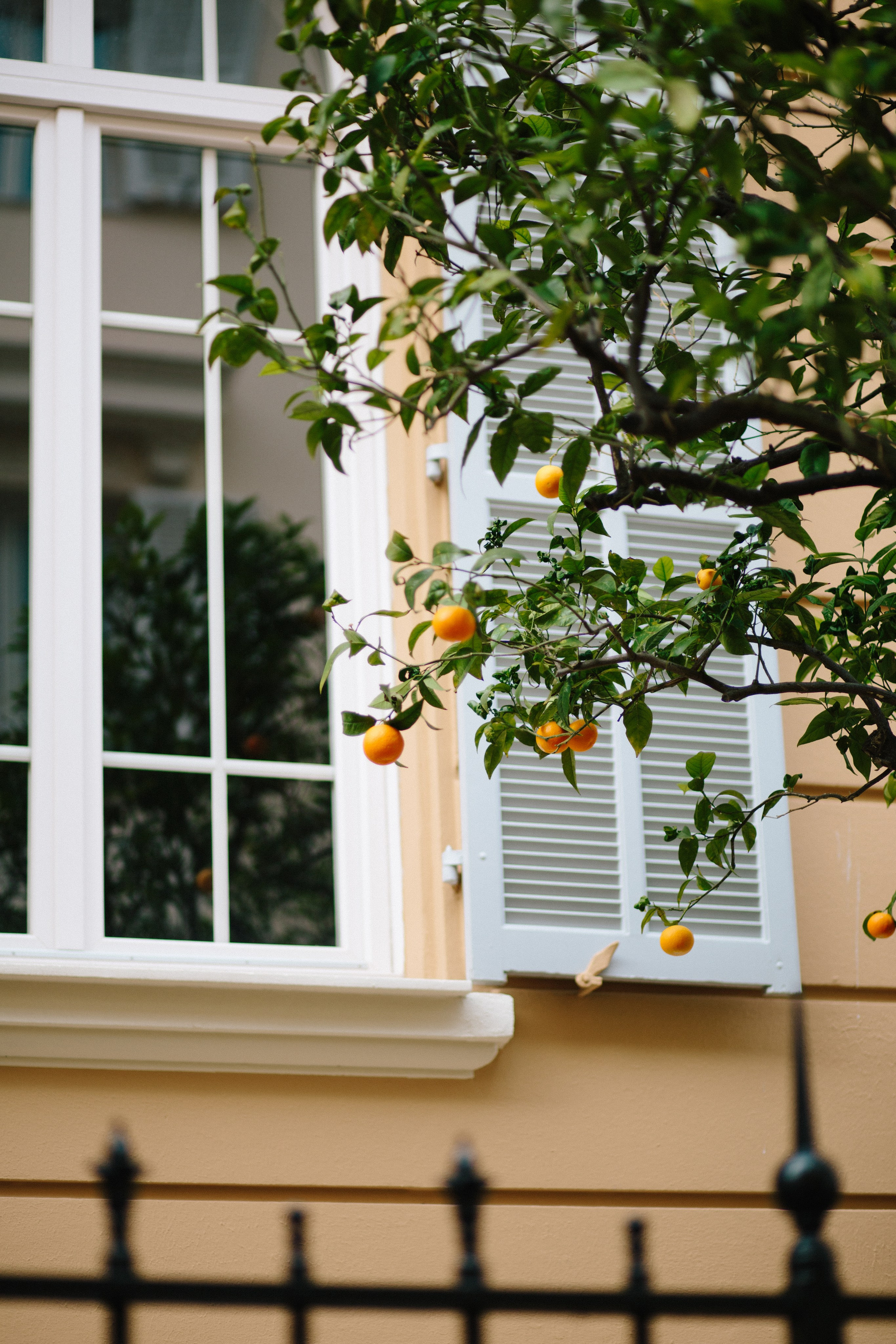 Monaco. Maria Chistyakovа — Fotografin in Karlsruhe, Baden-Baden und Umgebung