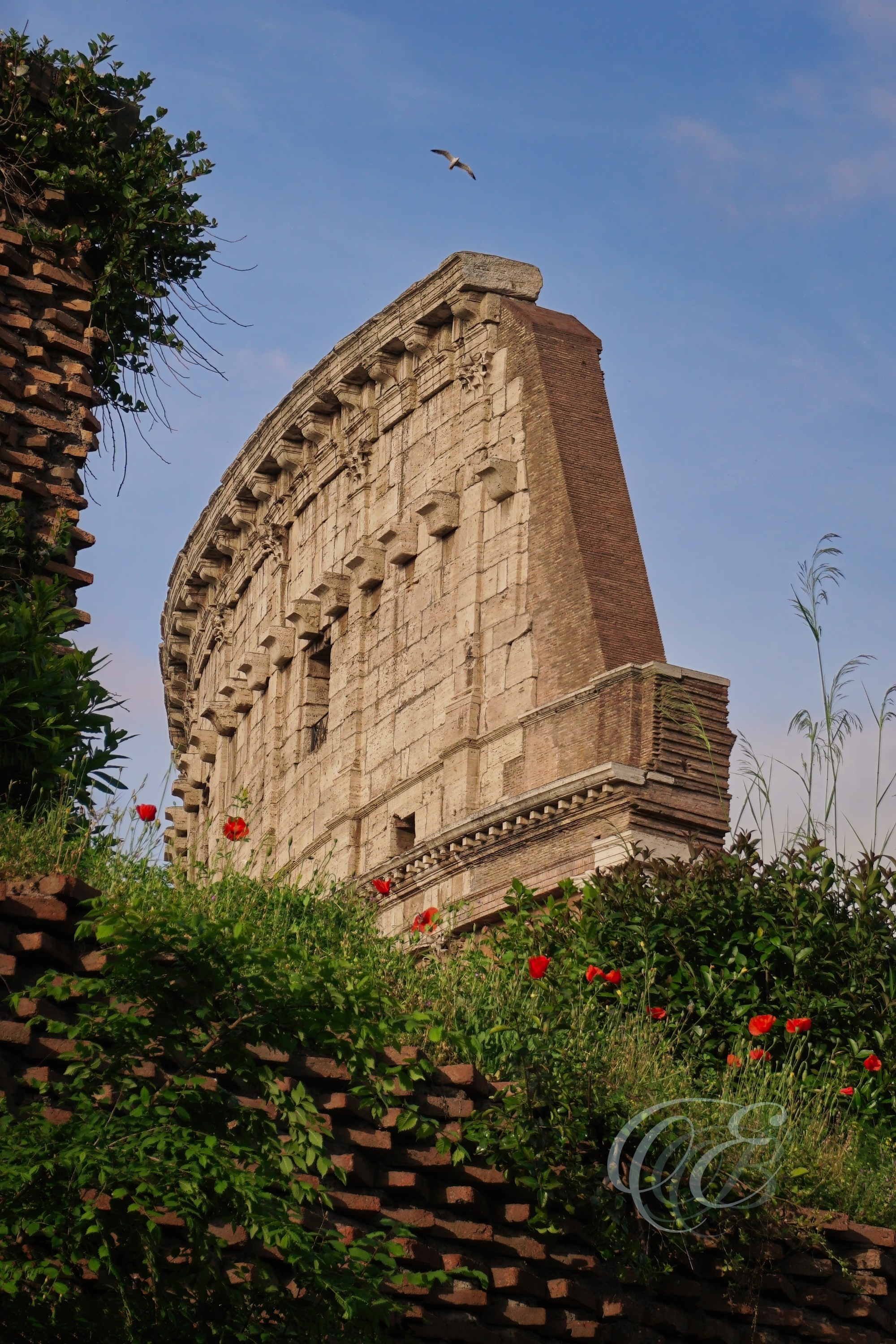Rome Italy - Colosseum in Spring - Eduardo Bartoli Fine Art Photography - Colosseum in spring with greenery in Rome, Italy – fine art photography by Eduardo Bartoli.