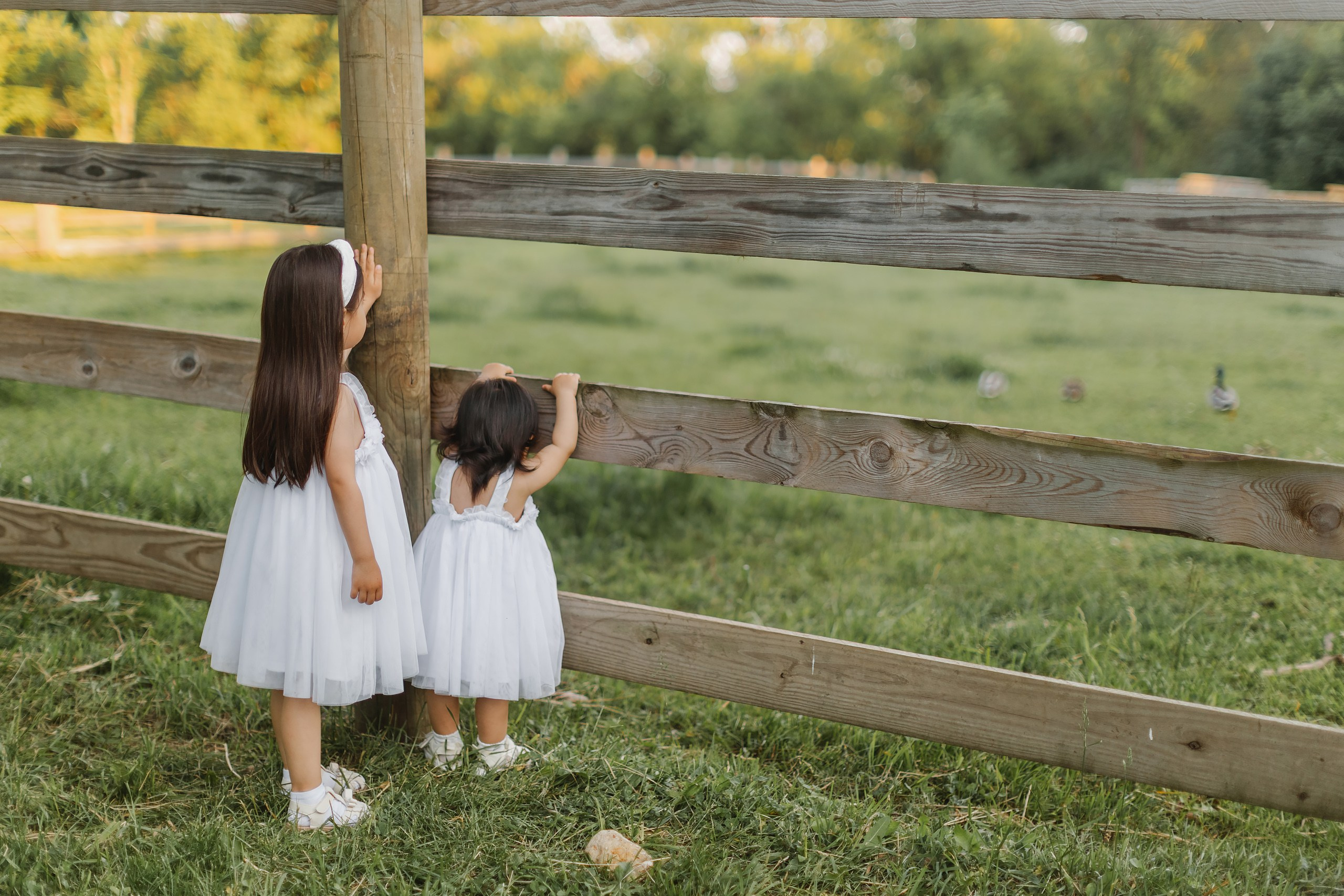 05.25.26 Family Photoshoot. Wedding family event photographer in Chicago Nick Yushevich