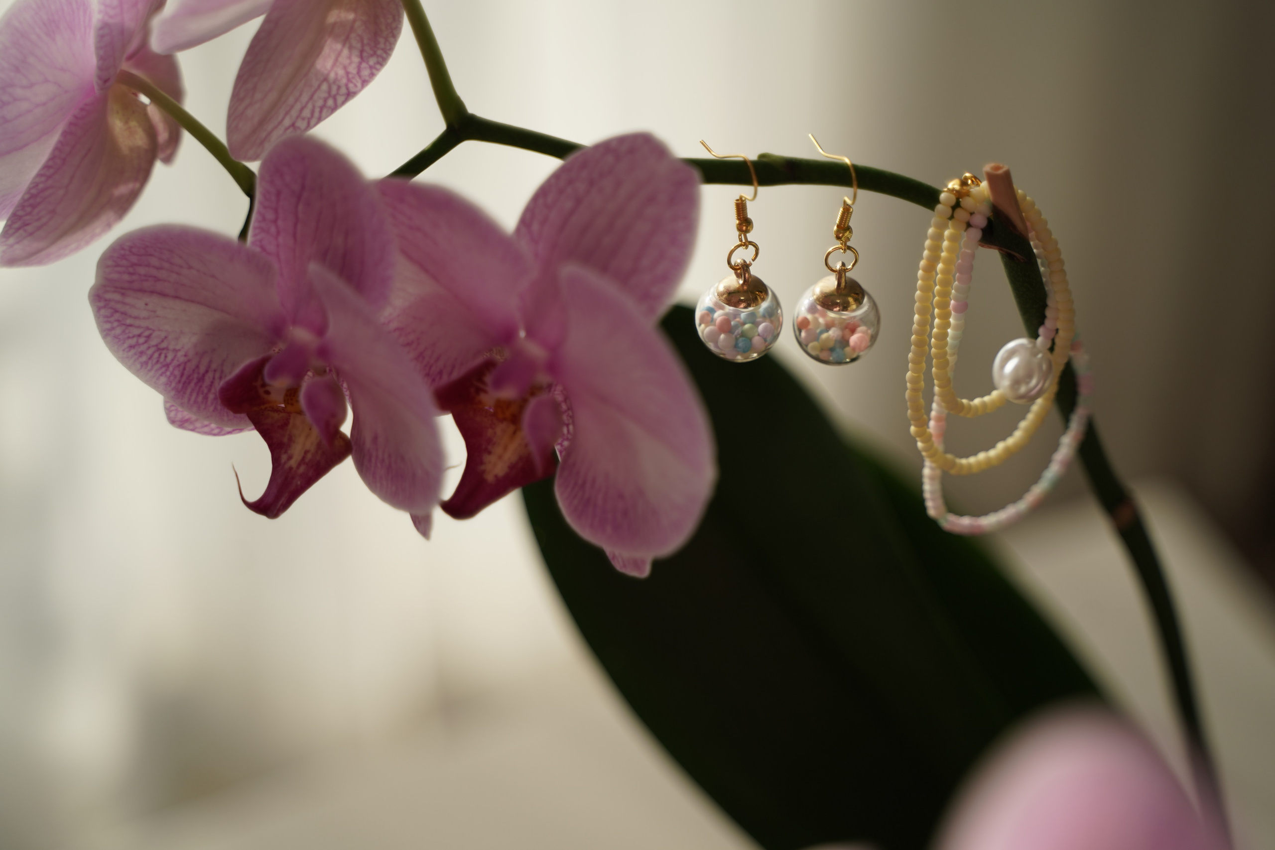 Контент съемка | צילום תוכן. Фотограф. Визуал. Хайфа. Талья Цветкова