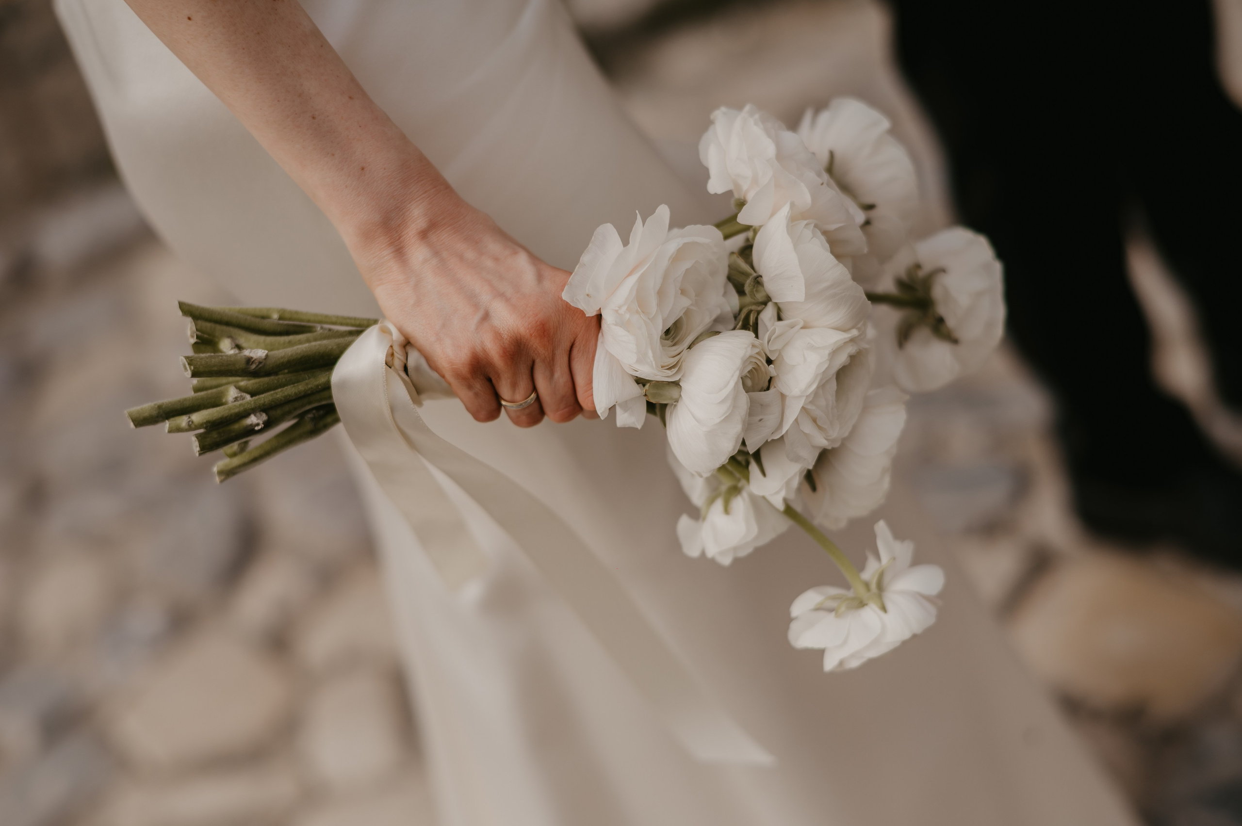 Ирина и Евгениј. Ana Sladojevic