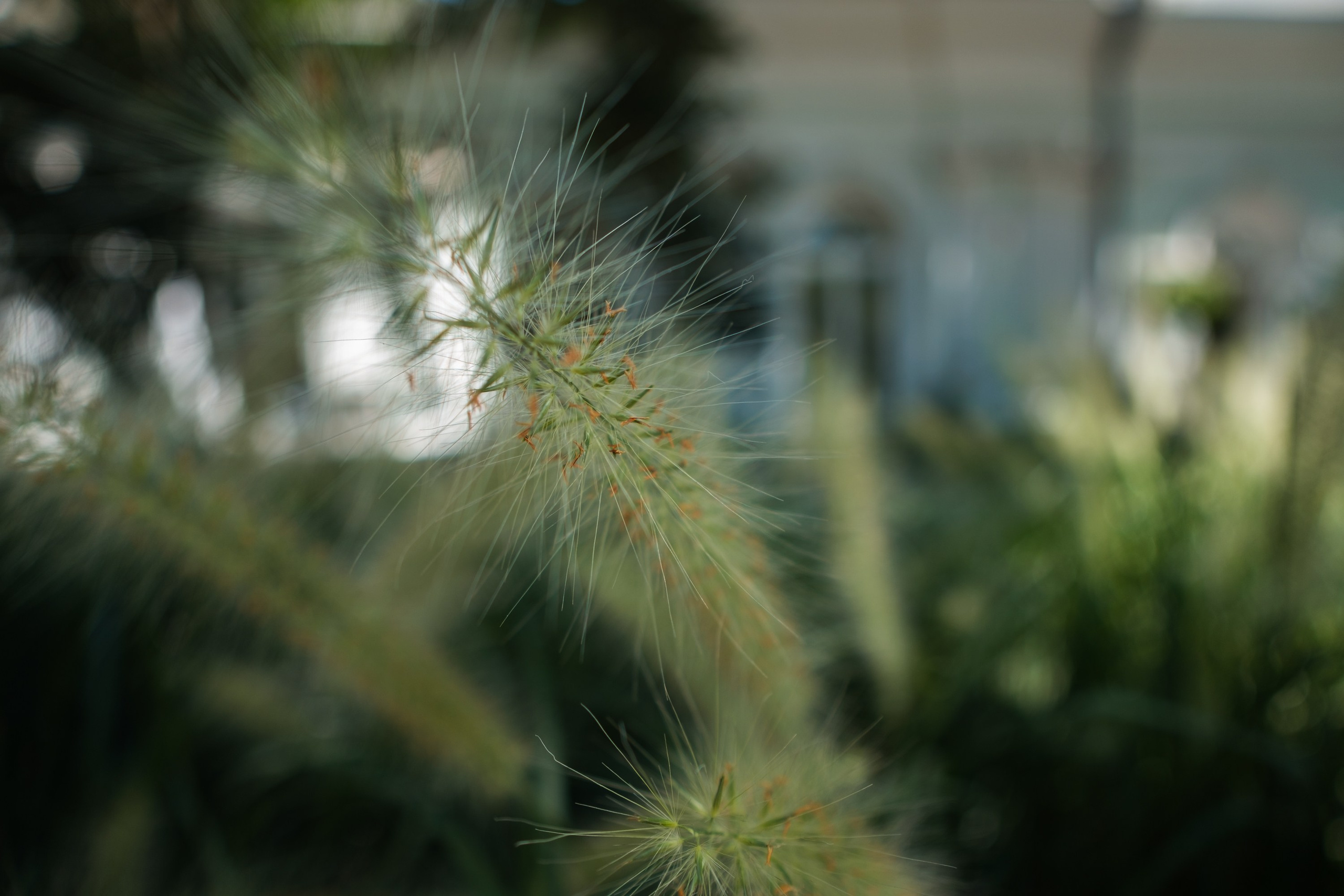 Sigma 12 mm F/1.4 DC DN Contemporary. Фотограф Григорий Кравец