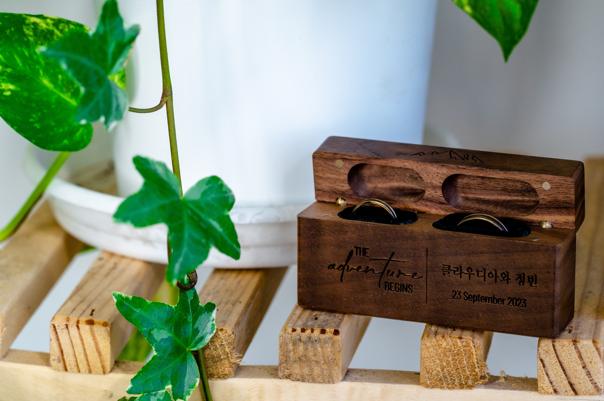 BYZO MEDIA. PETRU BYZO - family and children photographer in ROMANIA