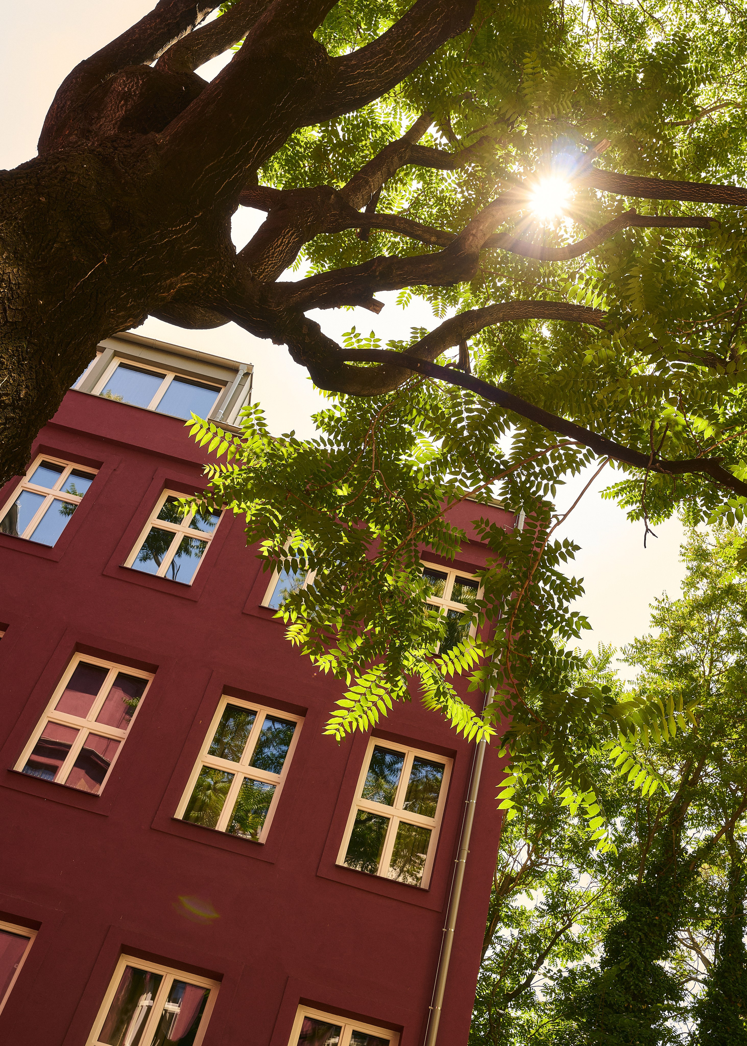 The Companion hotel | Vienna. Creative photographer for your business