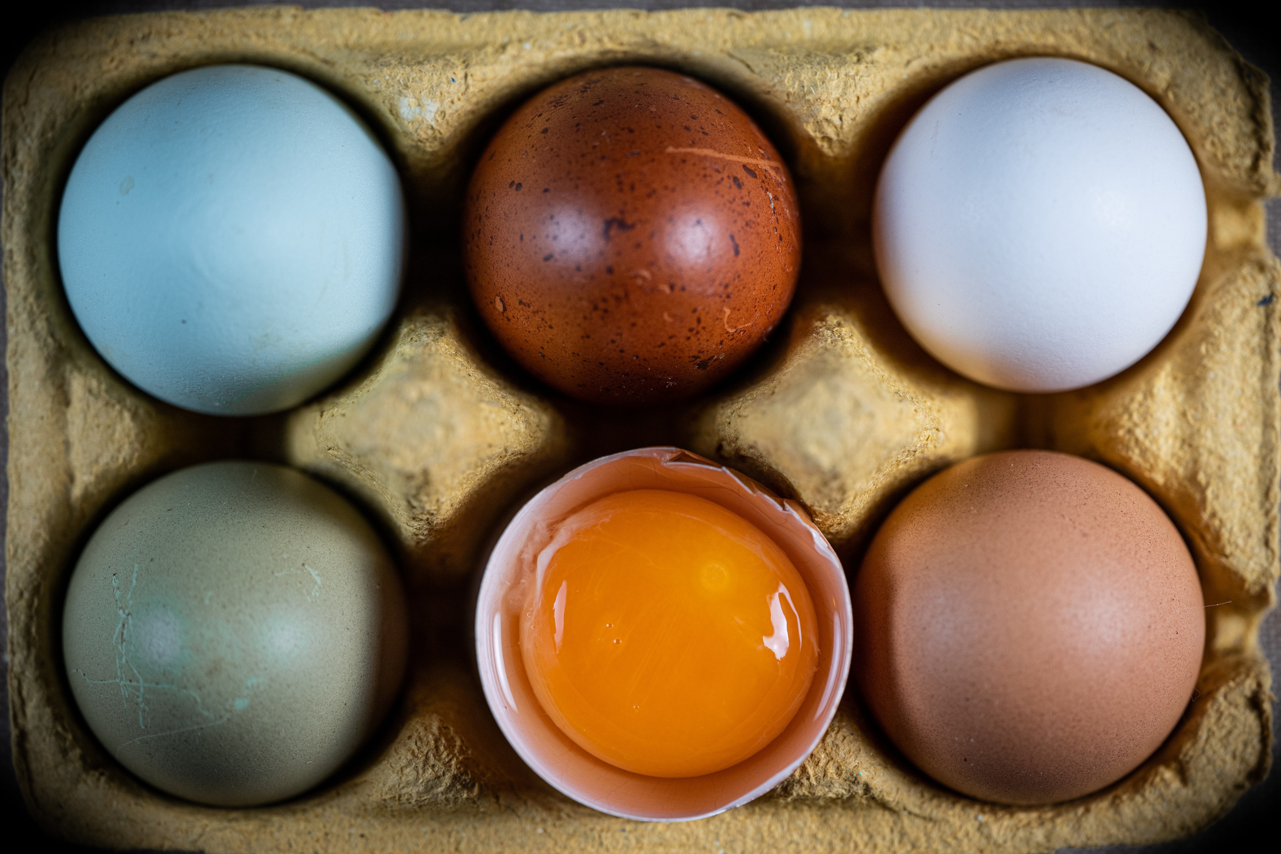 L’uovo. “Gianmaria Coscia fotografo per passione”