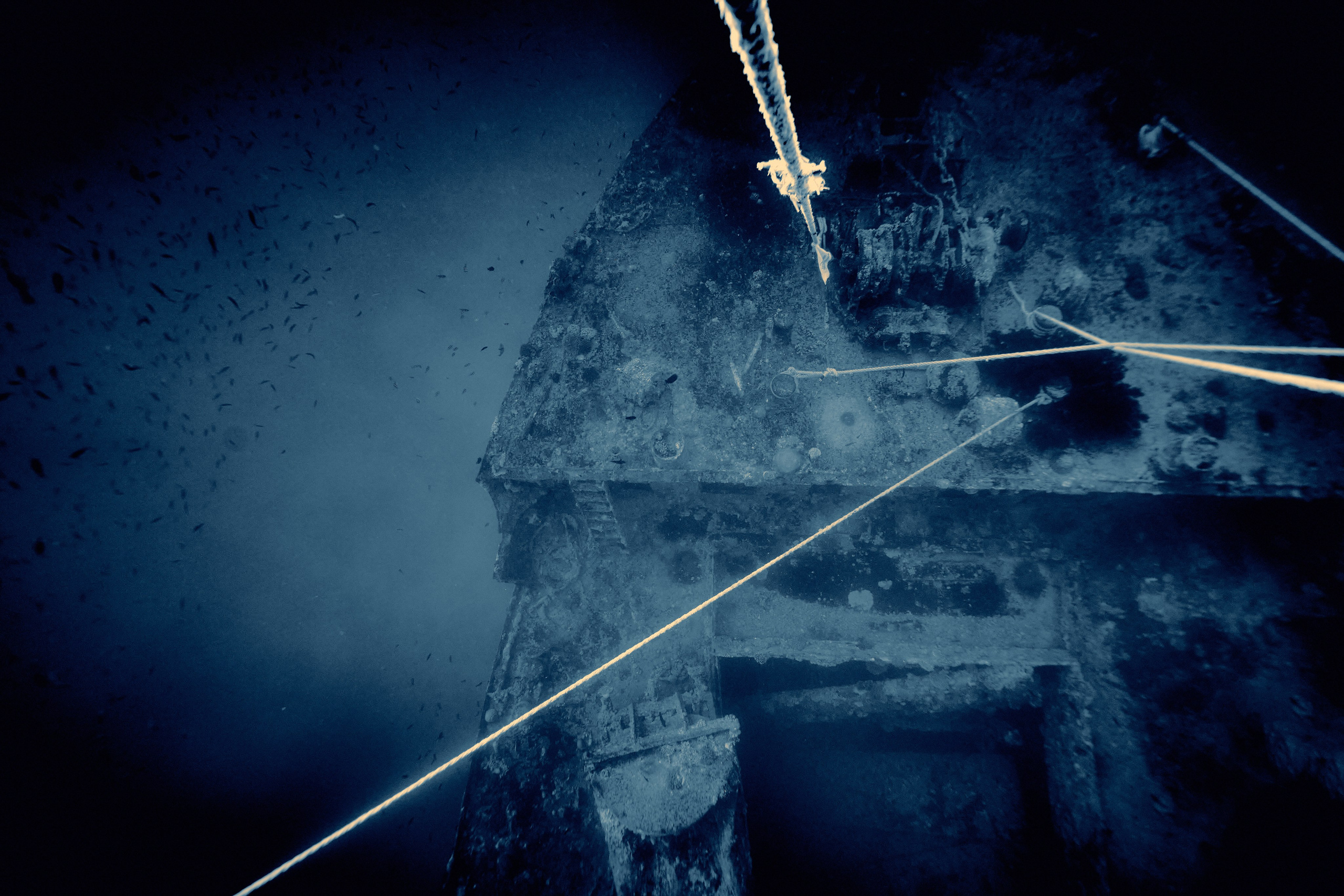 Podwodny fotograf - Andriej Szypiłow - zdjęcia wraków. Andriej Szypilow - Fotografia & Wideografia