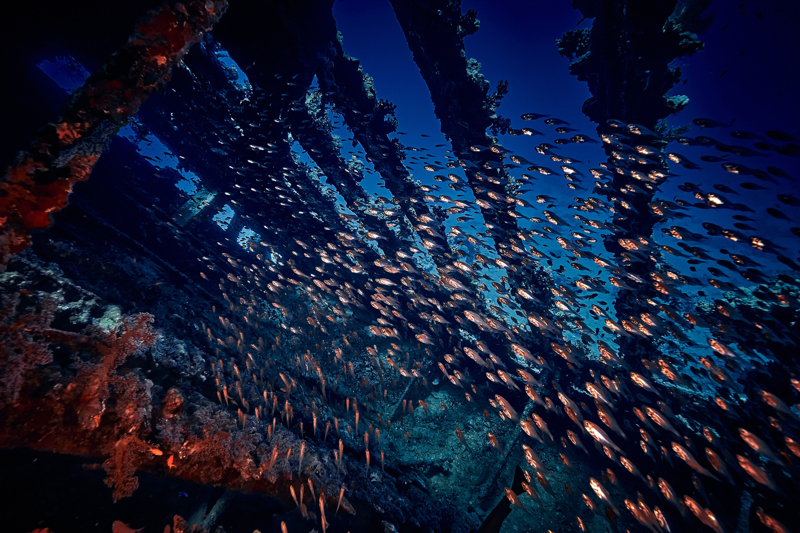 Podwodny fotograf - Andriej Szypiłow - zdjęcia wraków. Andriej Szypilow - Fotografia & Wideografia