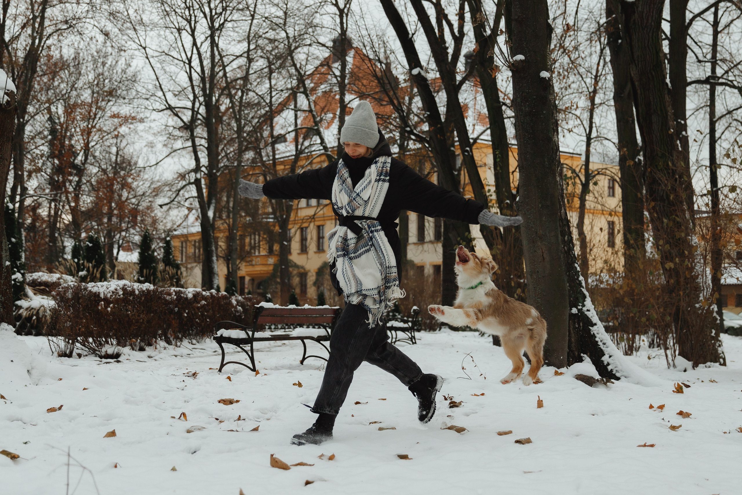 Fotografia psów Wrocław. Kaja | fotograf we Wrocławiu | ludzie i psy