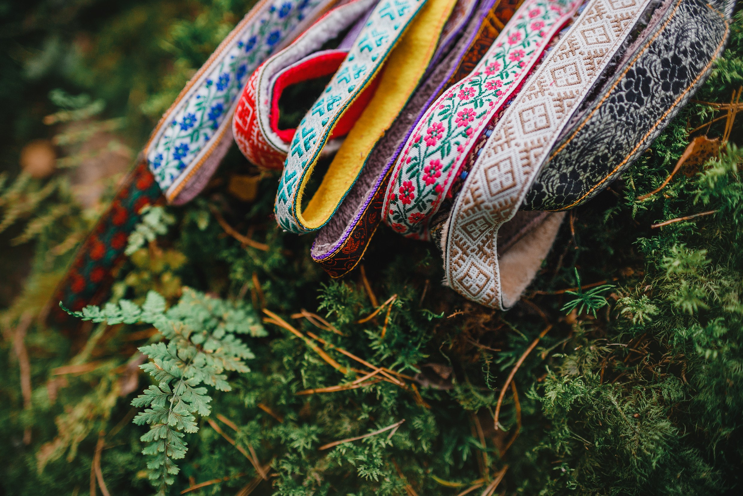 «Kasmach» dogs ammunition. Kaja | fotograf we Wrocławiu | ludzie i psy