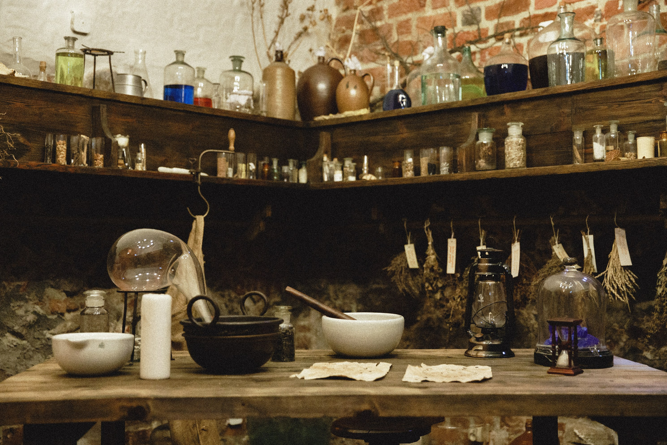 Museum of farmacy in Wroclaw. Kaja | fotograf we Wrocławiu | ludzie i psy