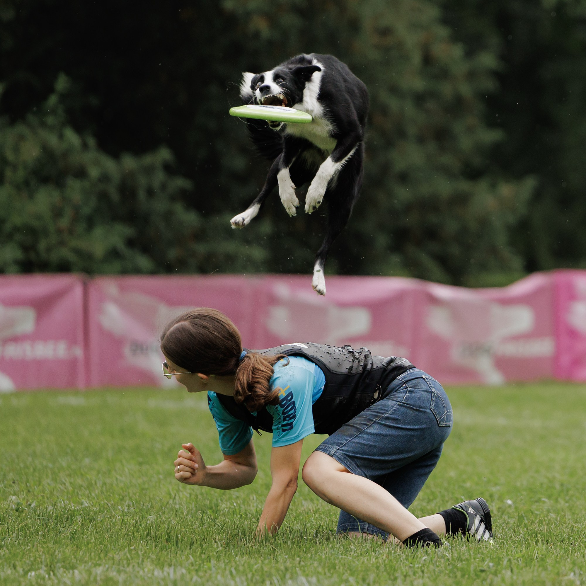Latające psy, Wrocław'25. Kaja | fotograf psów we Wrocławiu