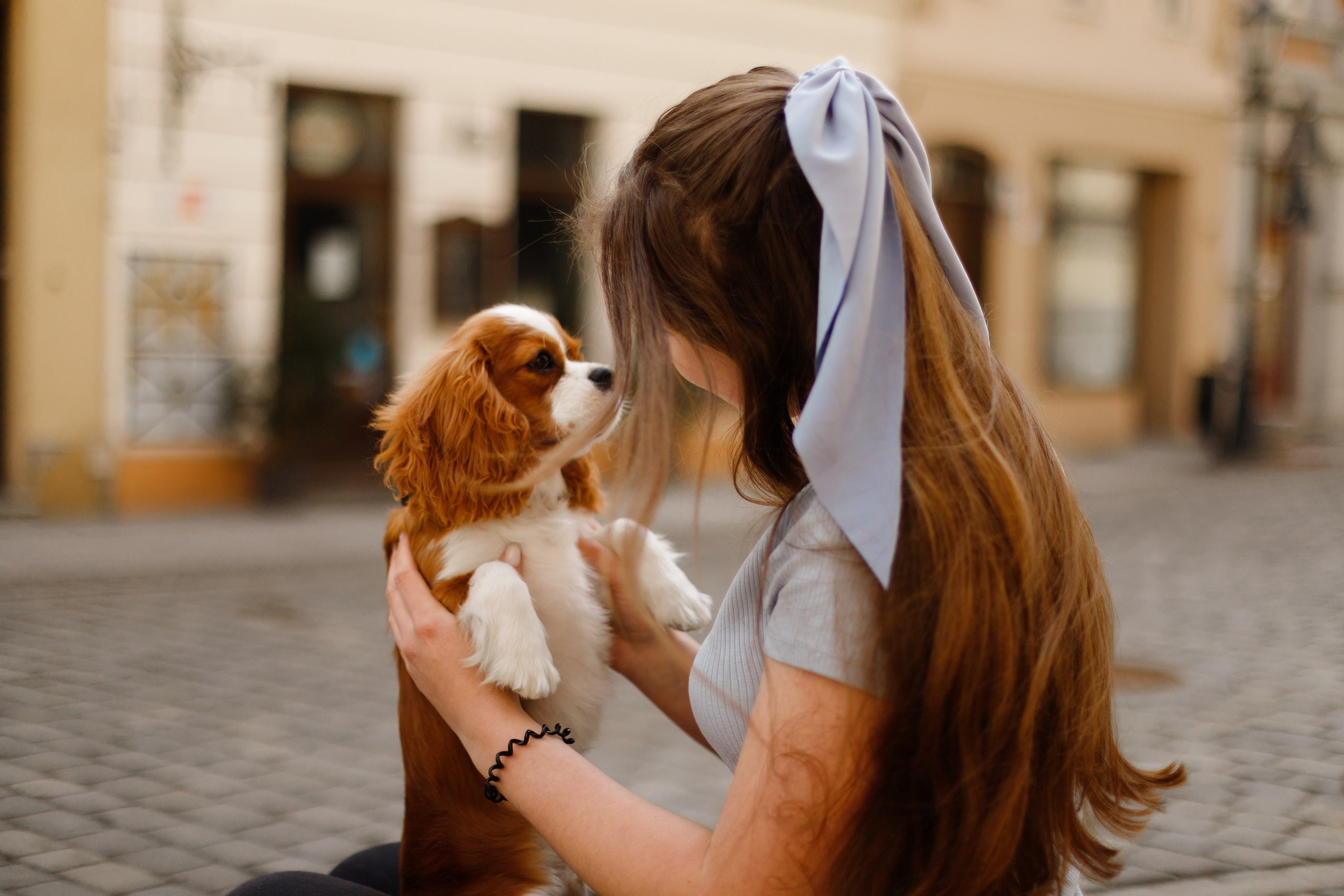Uliana i Franklin. Kaja | fotograf we Wrocławiu | ludzie i psy