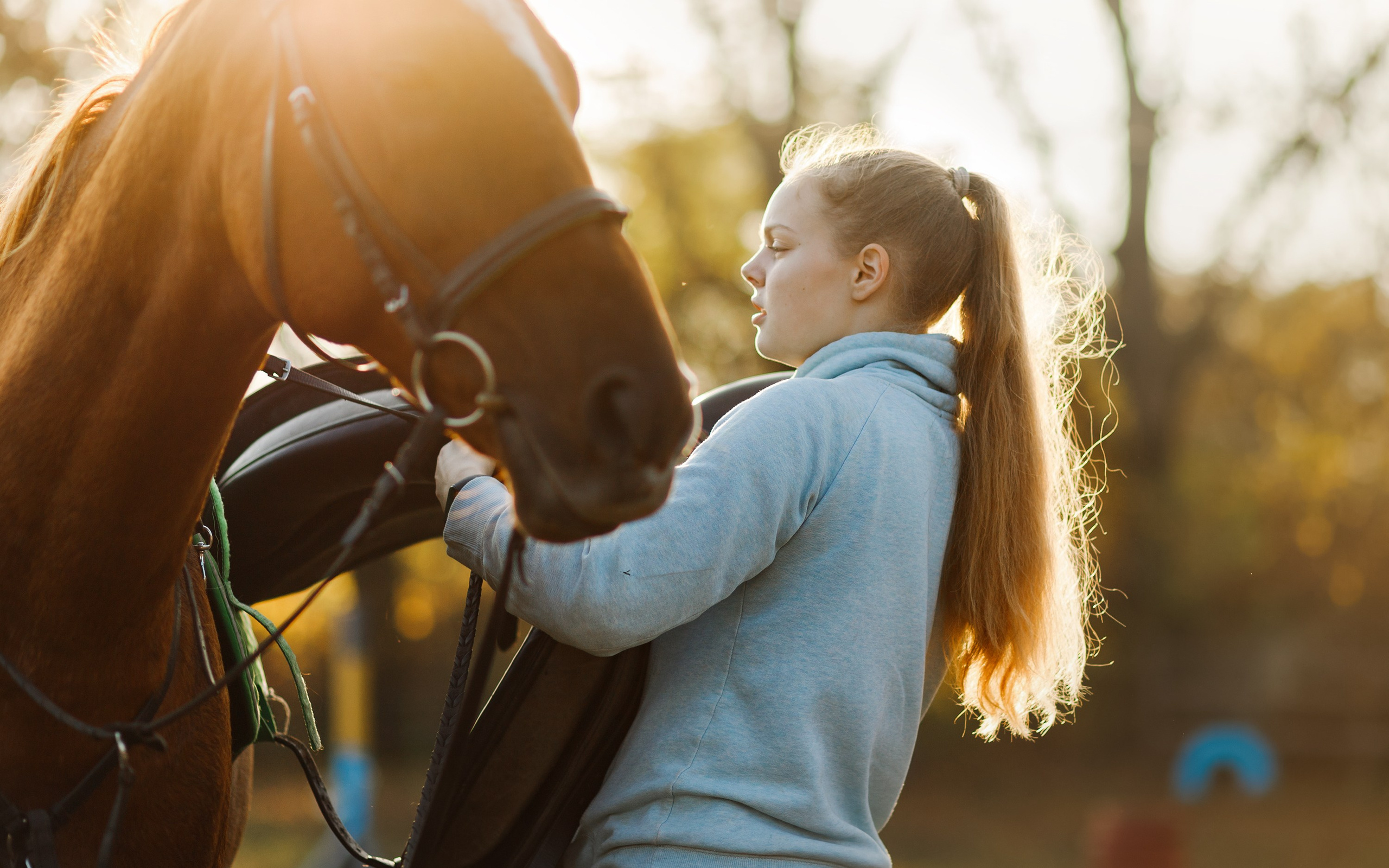Autumn equestrian training. Kaja | fotograf psów we Wrocławiu