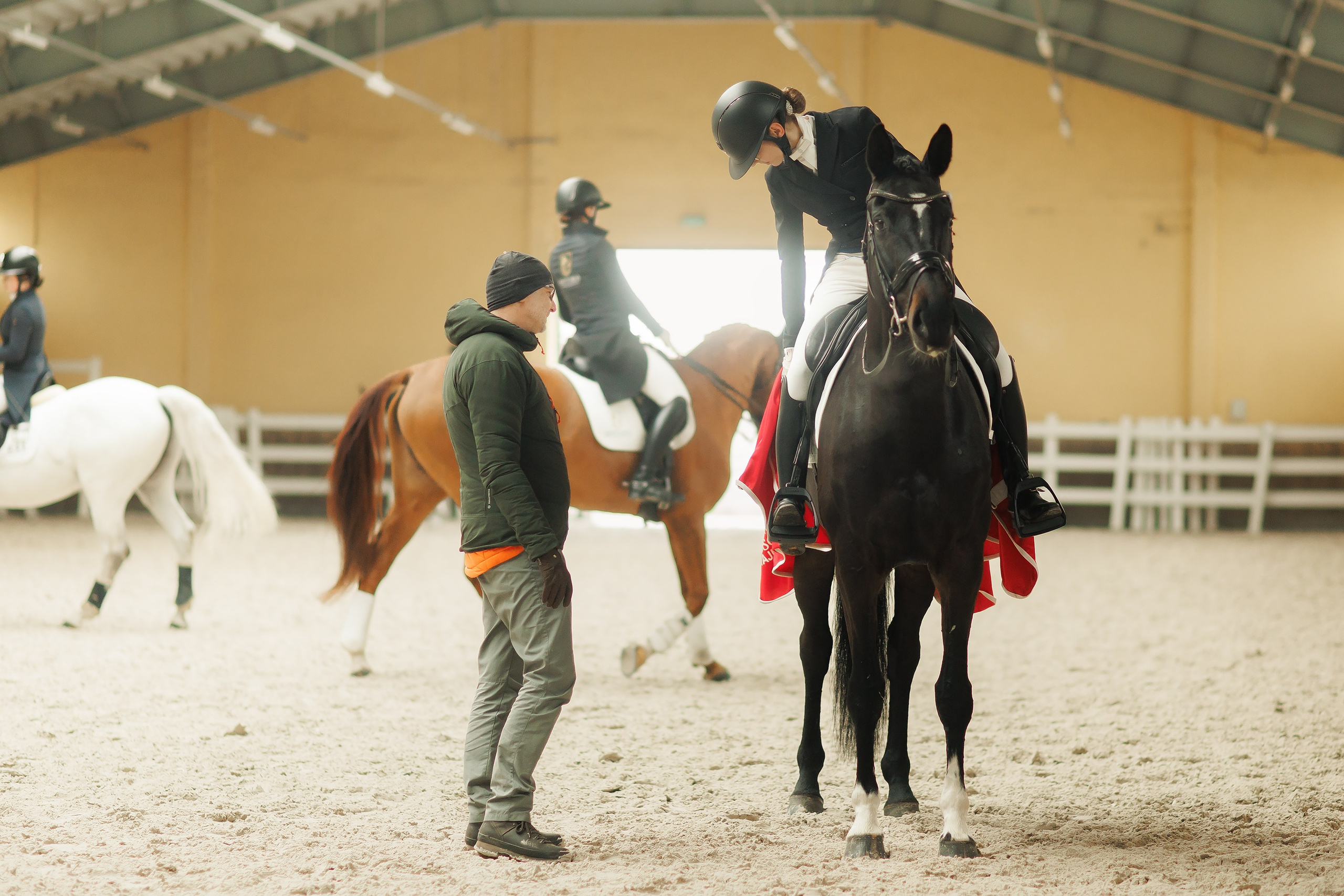 Partynice dressage \ feb'25. Kaja | fotograf we Wrocławiu | ludzie i psy