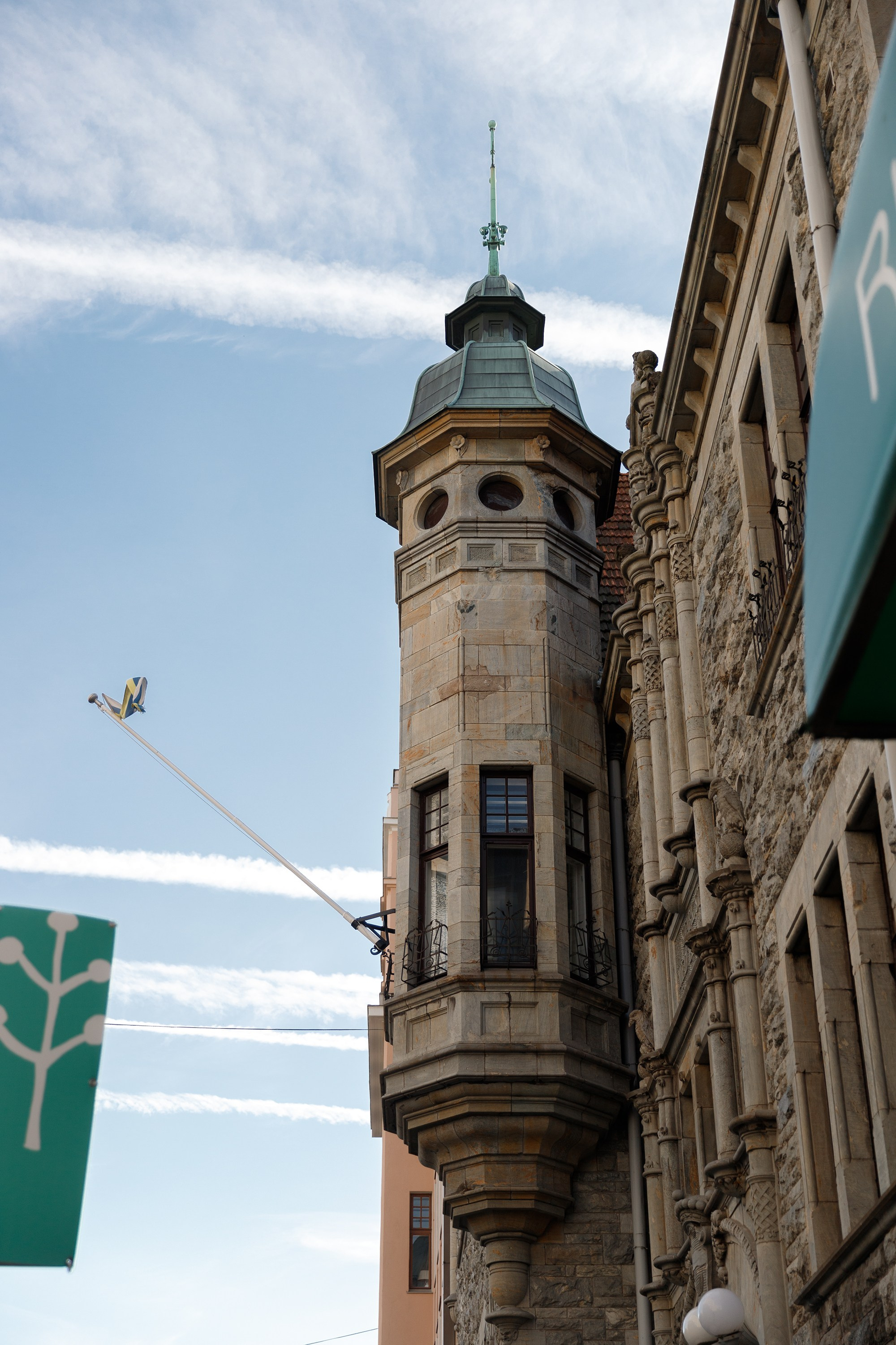 Helsinki. Kaja | fotograf psów we Wrocławiu