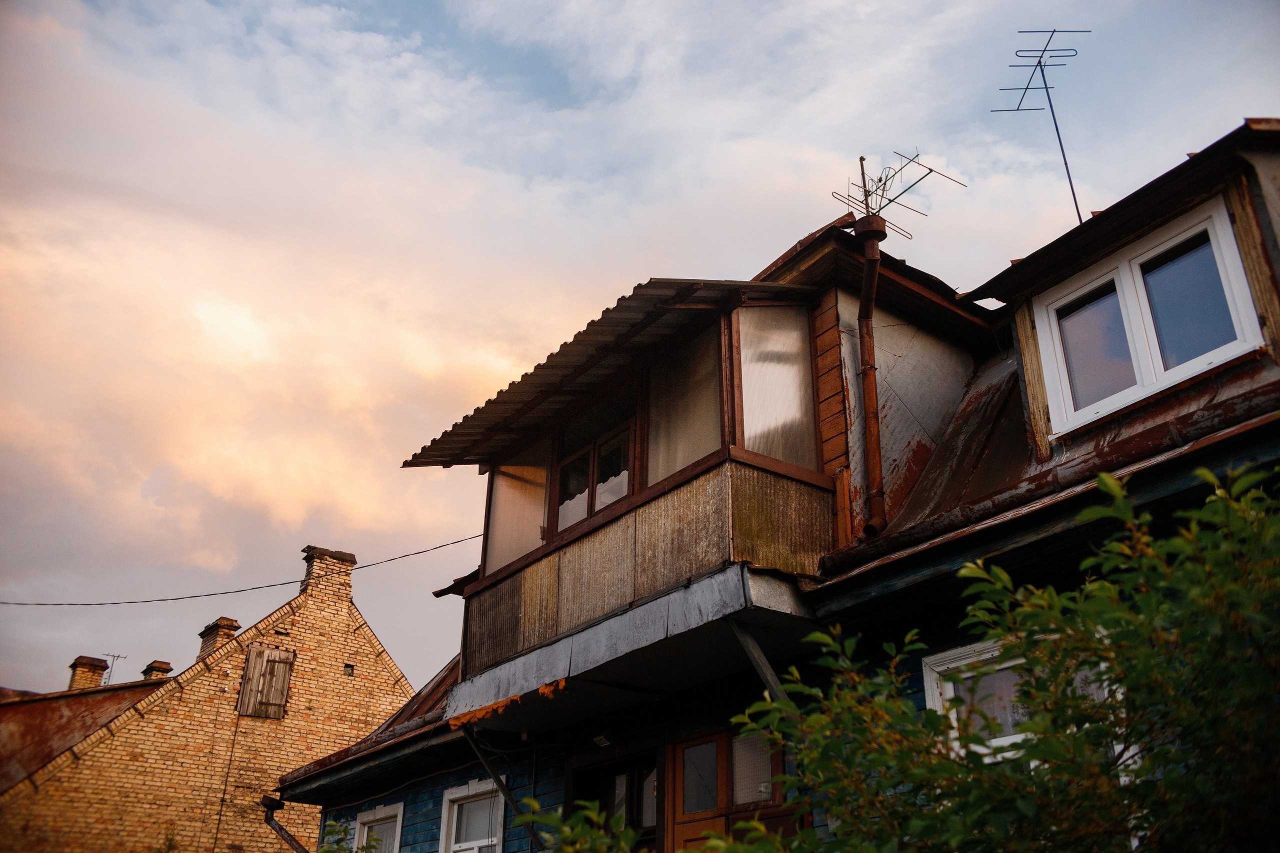 Grodno. Kaja | fotograf we Wrocławiu | ludzie i psy