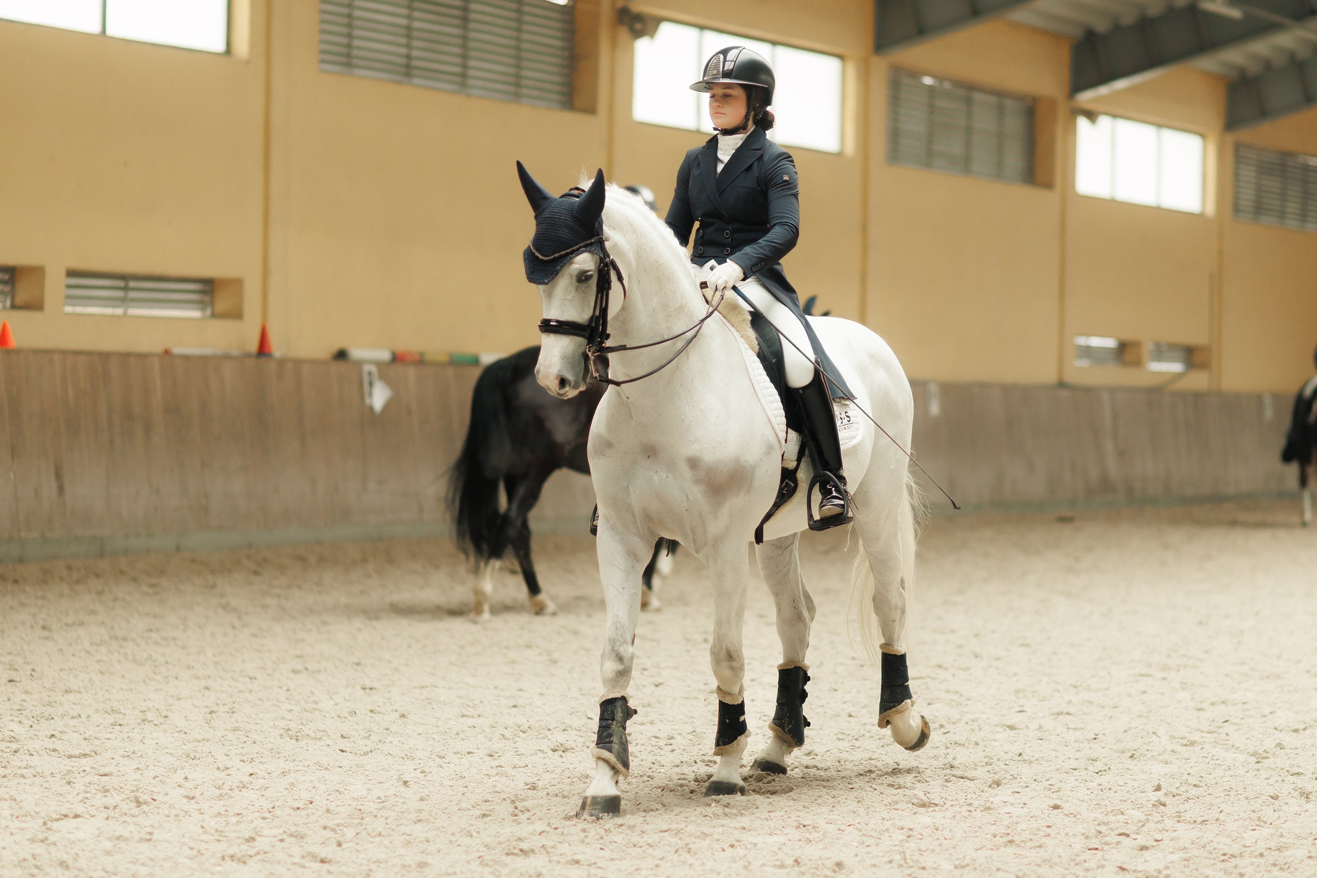 Partynice dressage \ feb'25. Kaja | fotograf we Wrocławiu | ludzie i psy