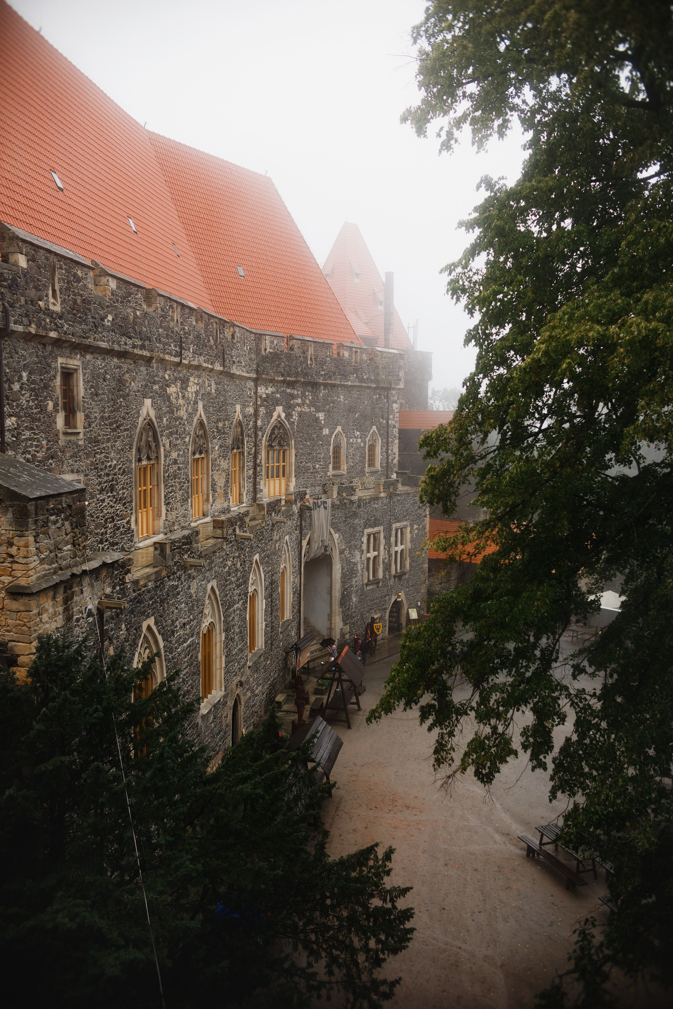 Zamek Grodziec. Kaja | fotograf psów we Wrocławiu