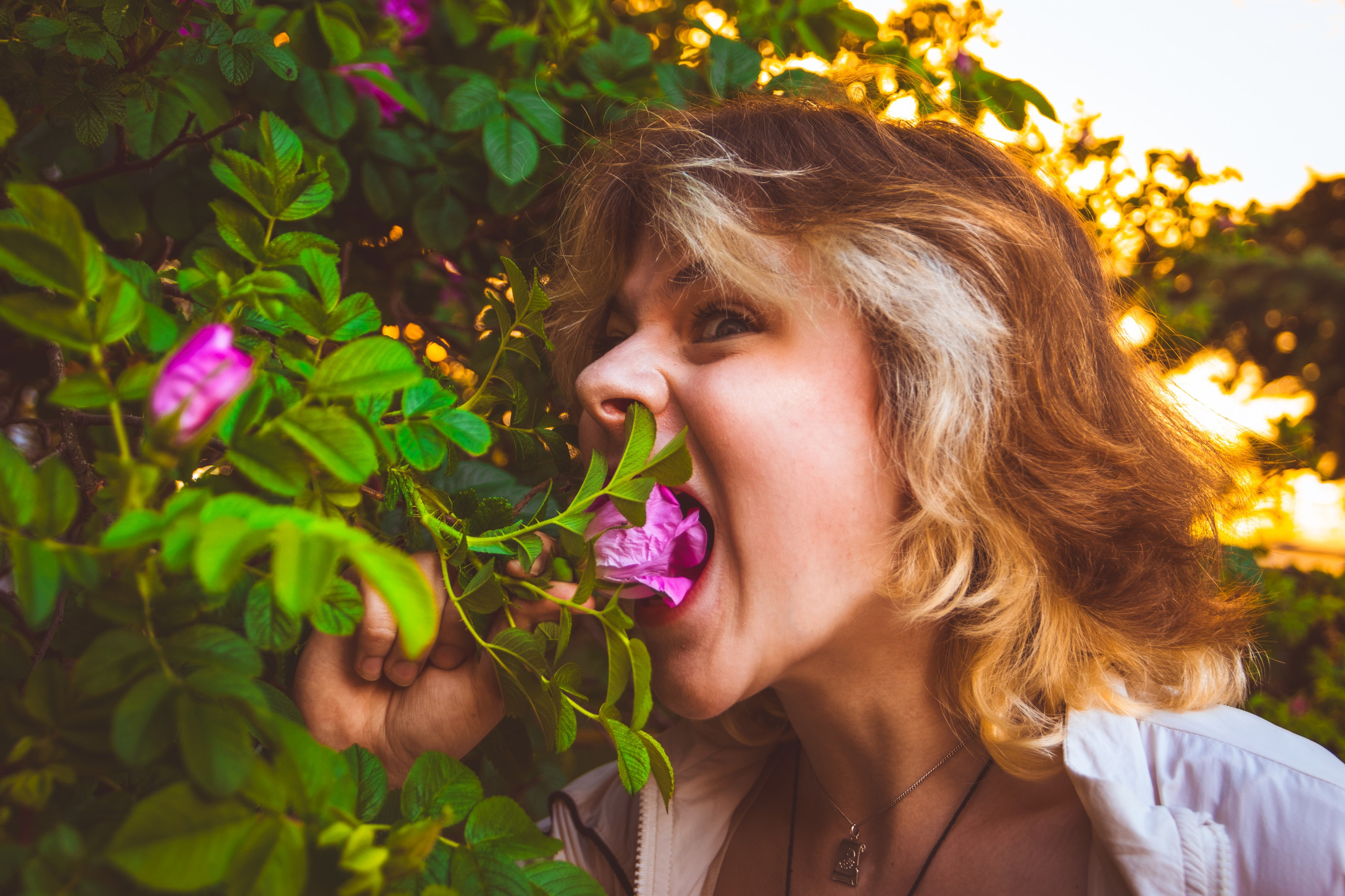 Lahe graatsia (Sonja). Nebula 25 — Fotod teie hingele