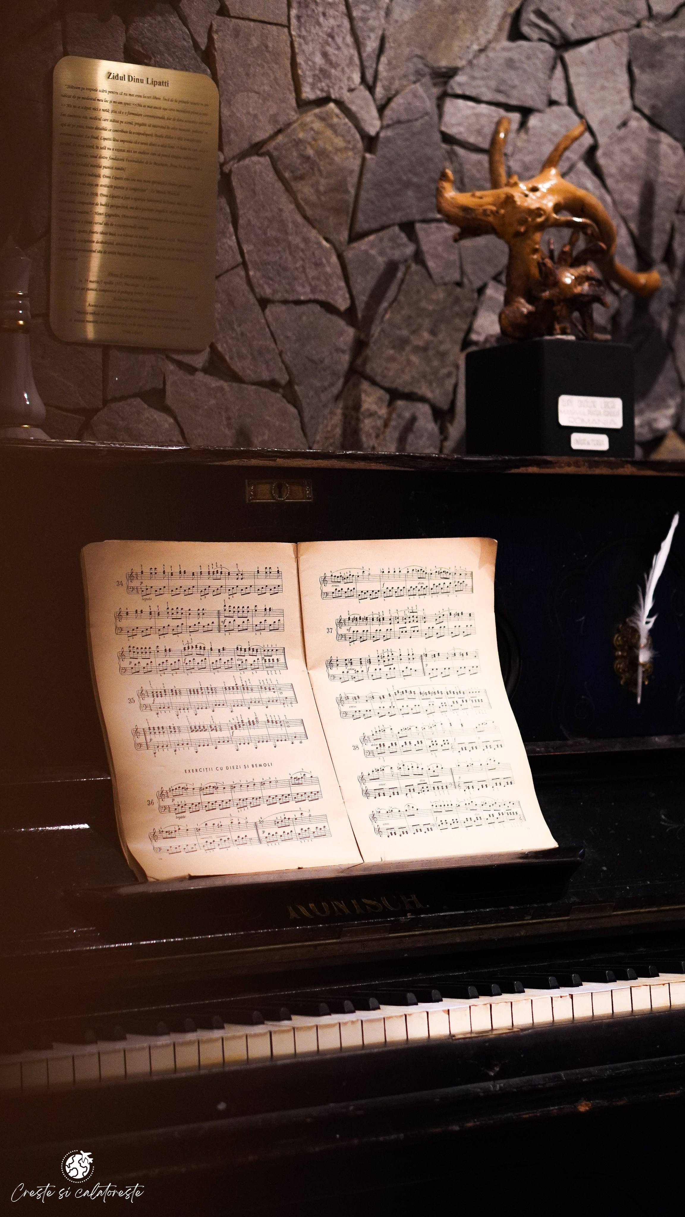 Bransilvania. Creste si calatoreste