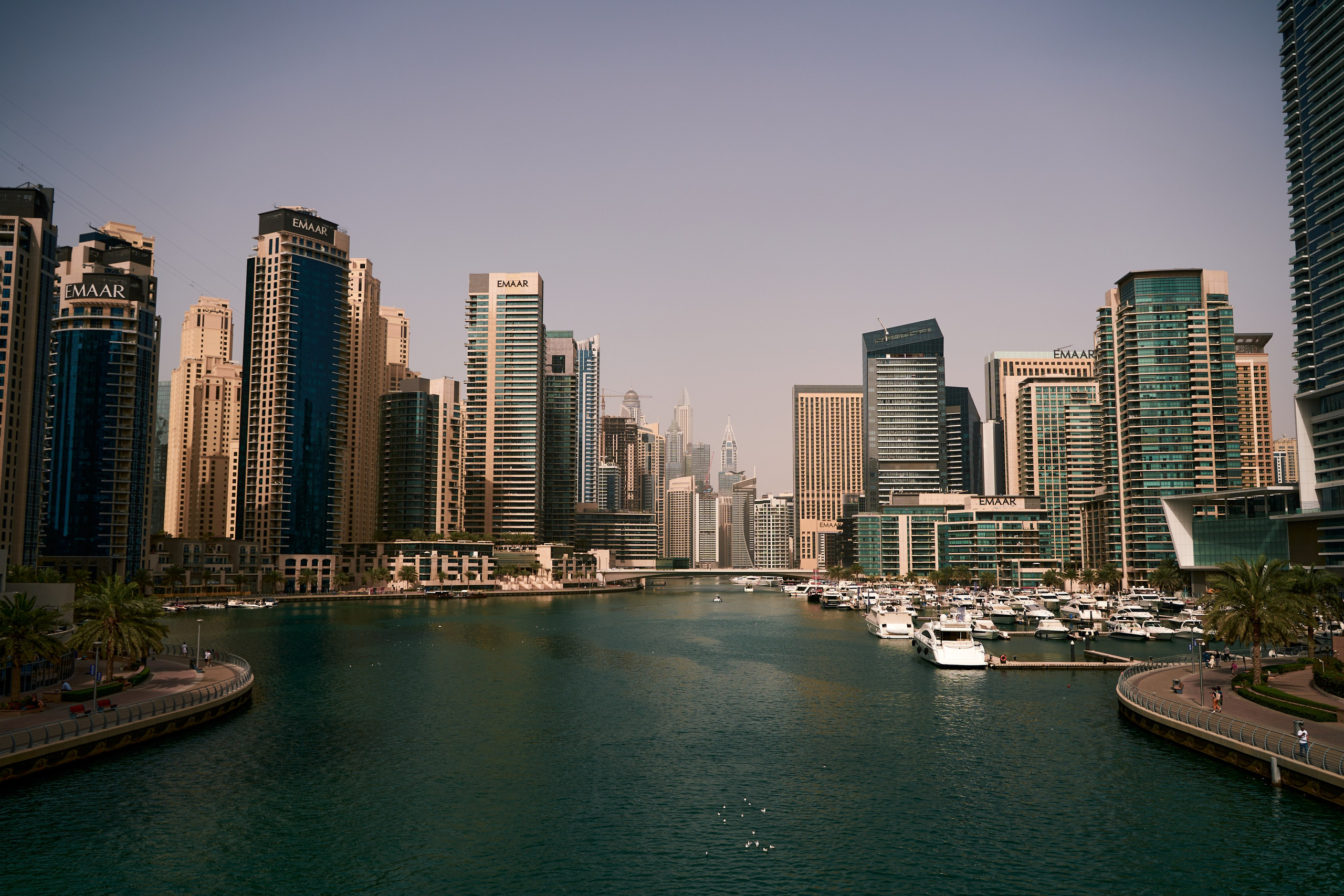 Dubai. Denshyr — Visual Artist