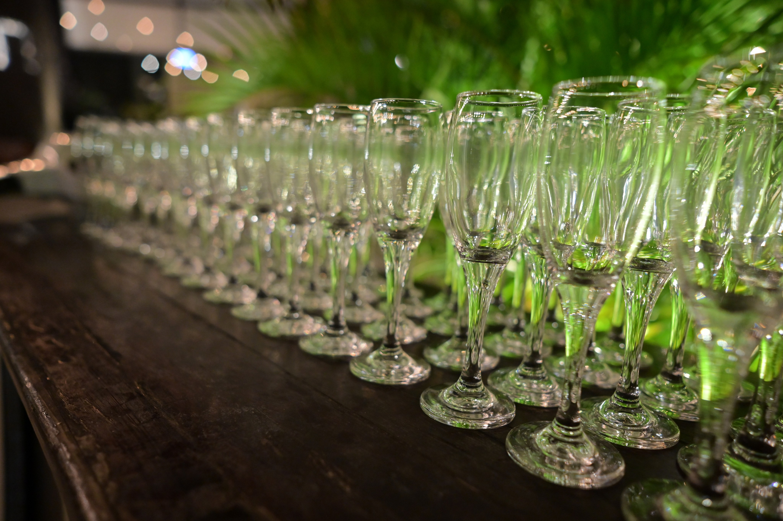 תרין TARIN עיצוב. Wedding and events photographers Studio Shalom