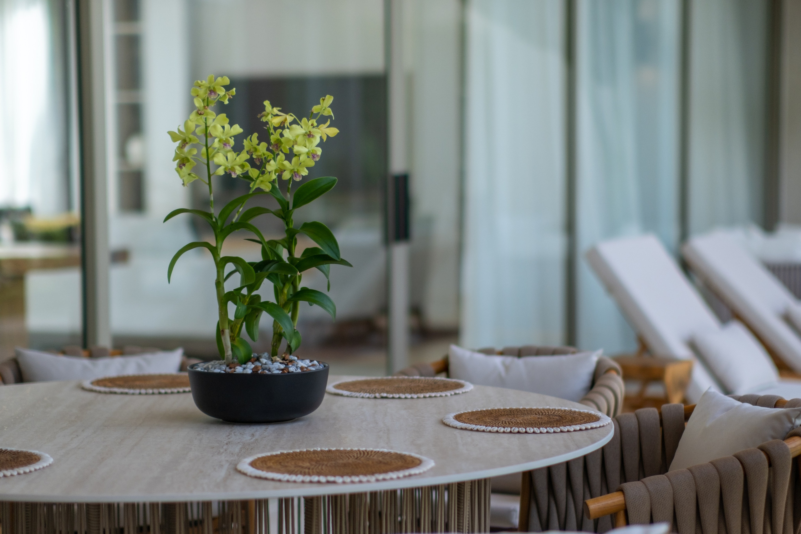 Видеограф на Пхукете