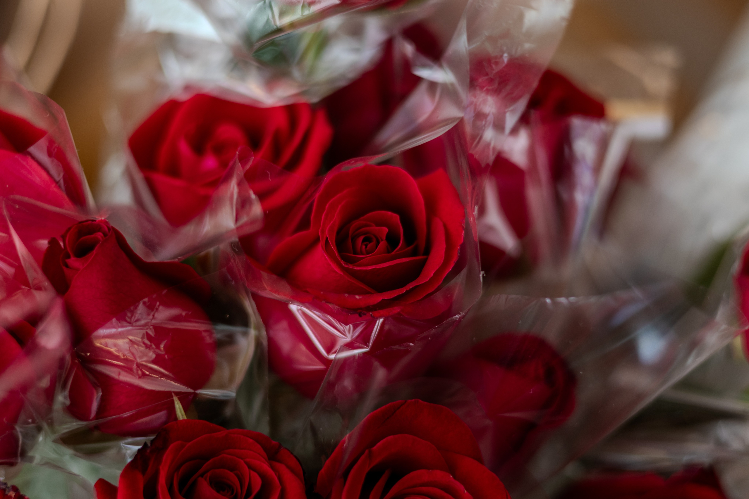 Evento Corporativo. Edilene Silva Fotografa Profissional